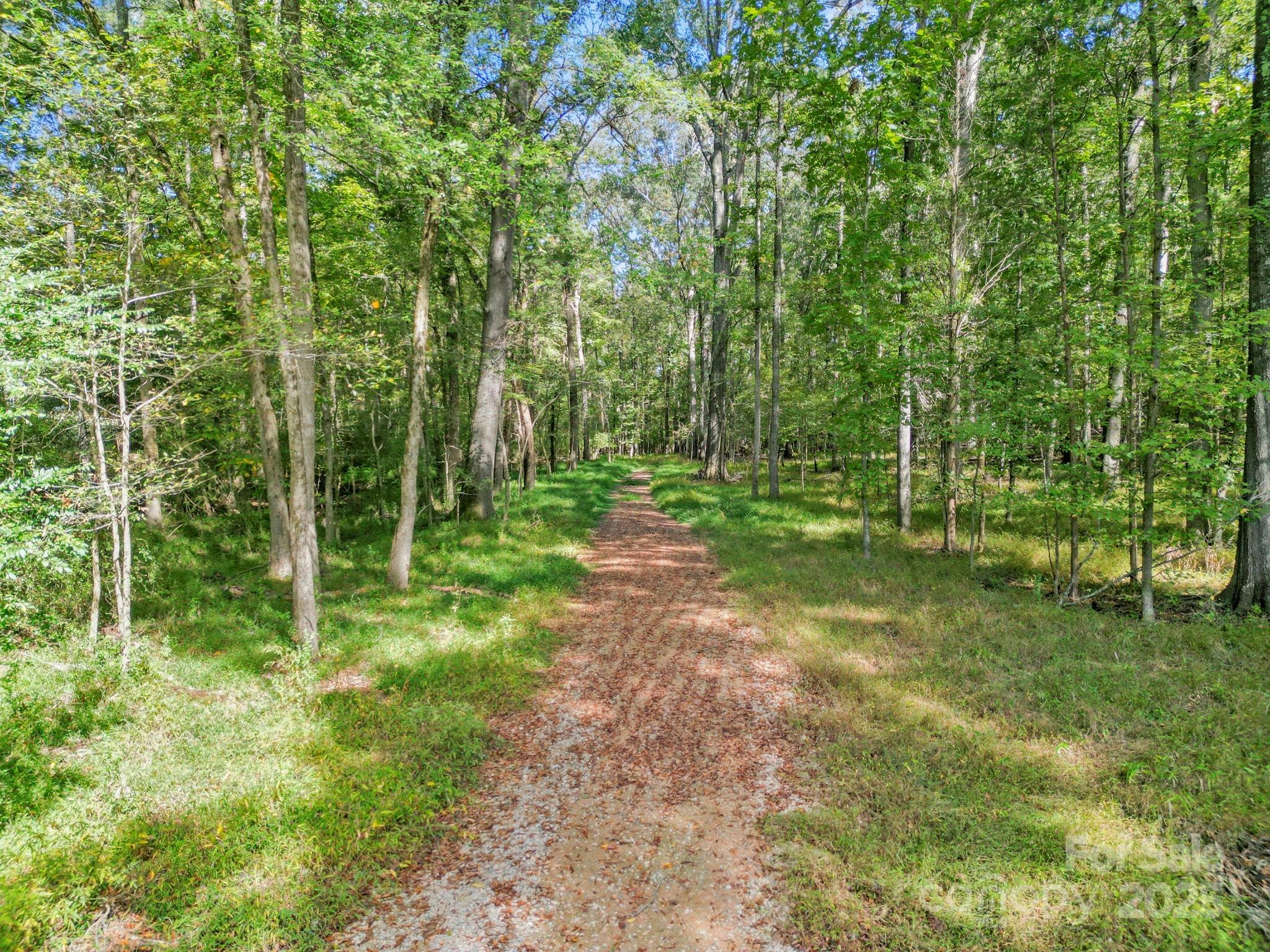 5908 Will Plyler Road