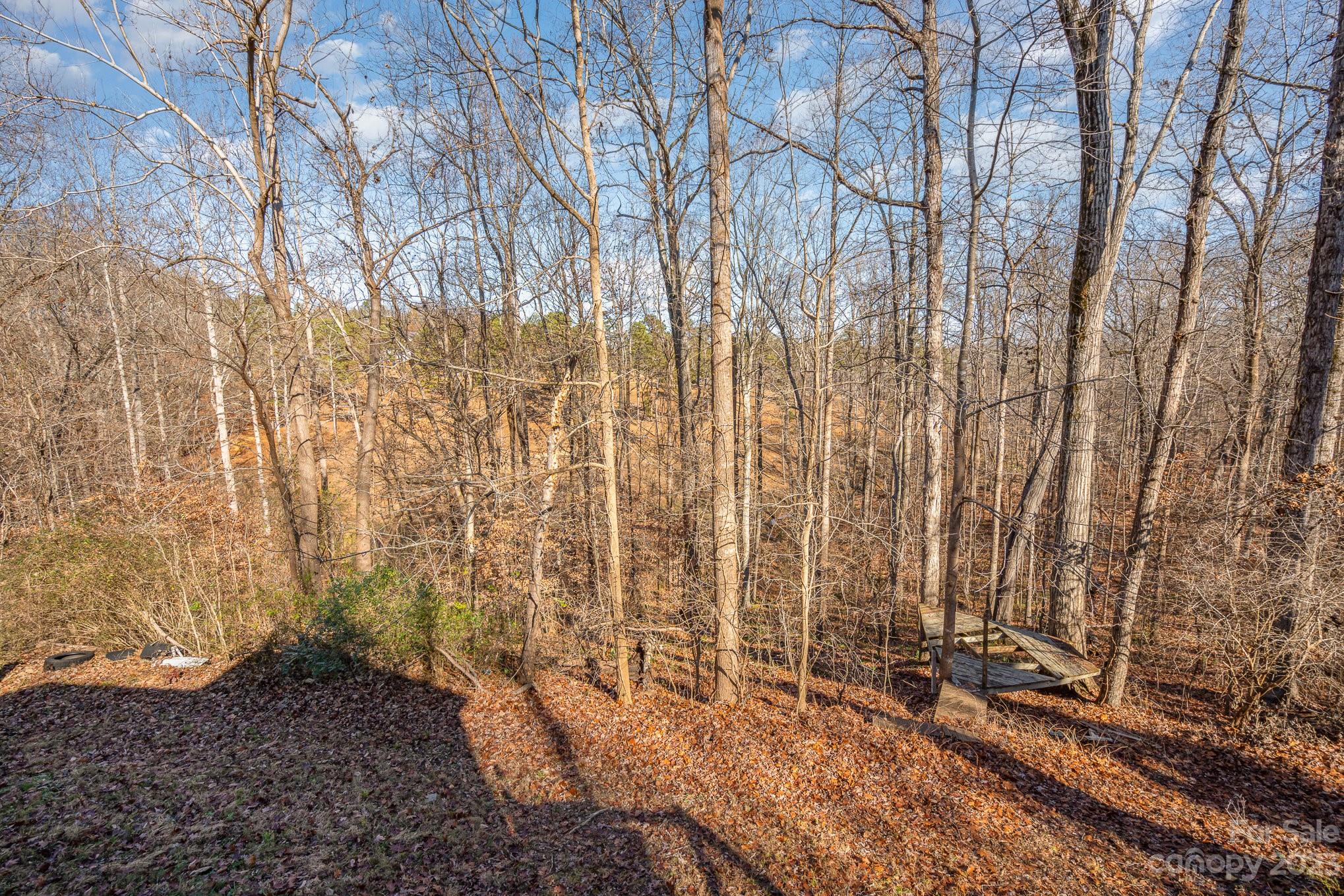 167 Dunlap Loop