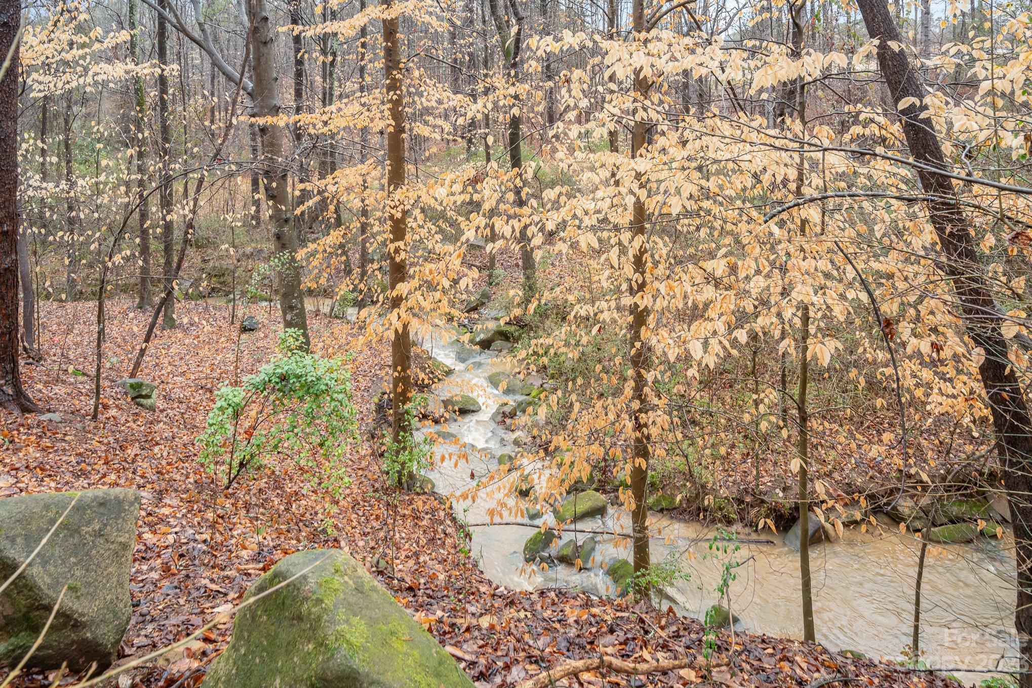 1516 Rice Hope Court