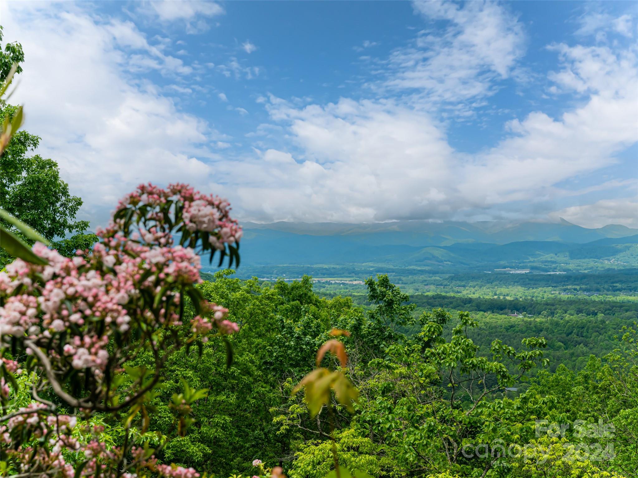 211 Sugar Creek Lane