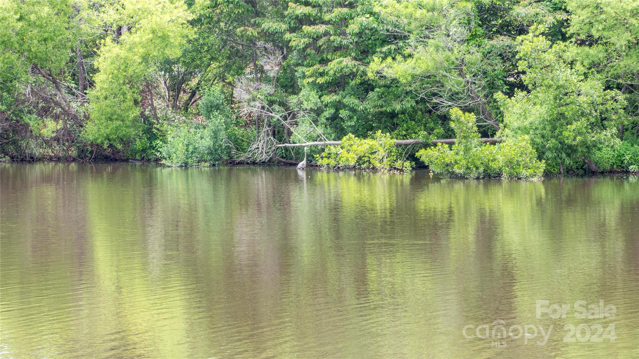 8632 Beaver Creek Drive