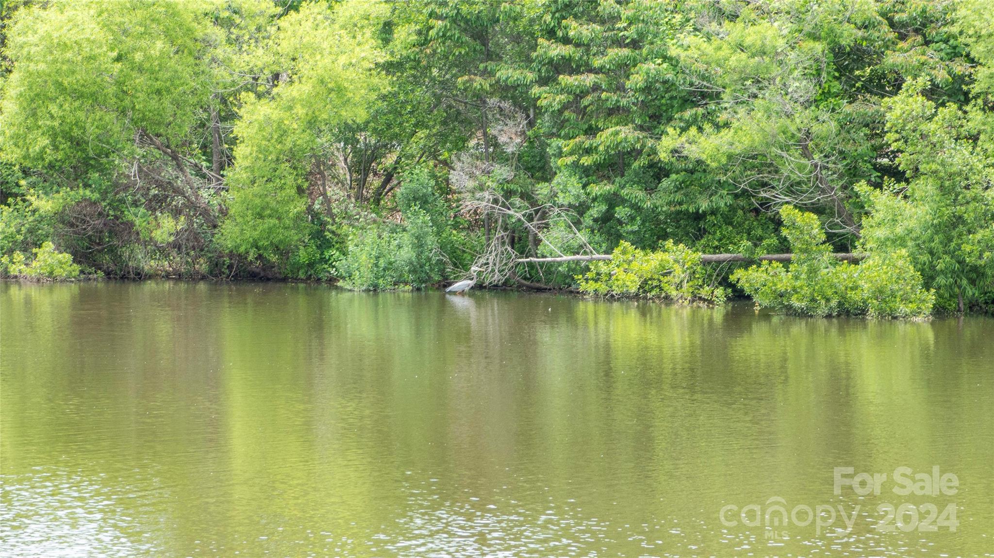 8632 Beaver Creek Drive