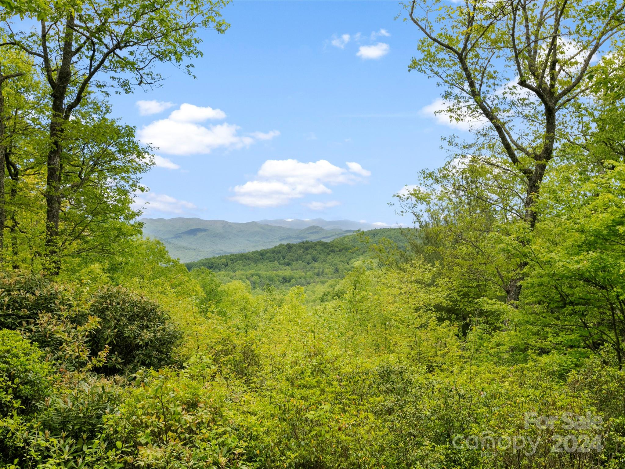 559 Roaring Rock Road