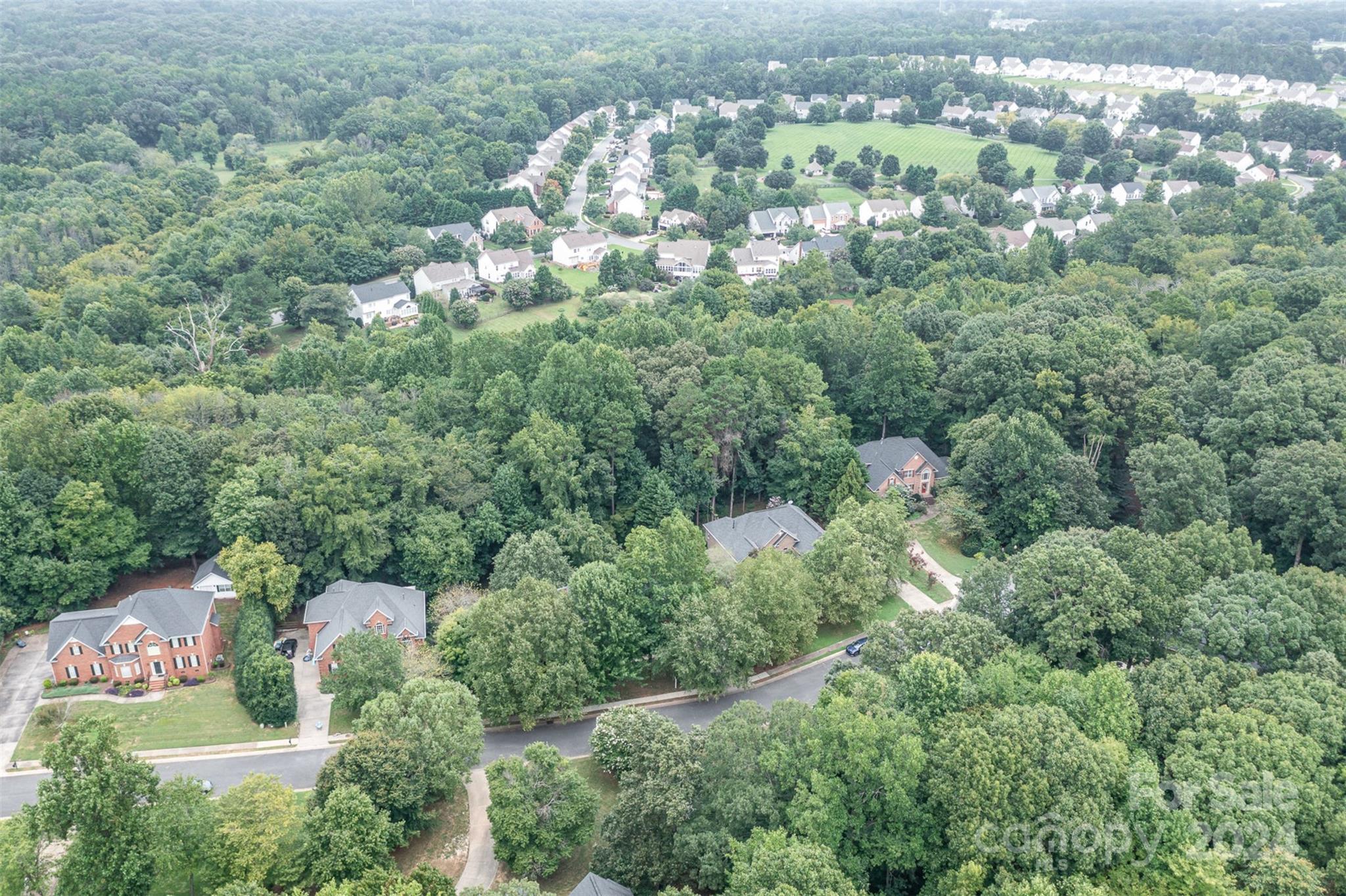 1013 Potters Bluff Road
