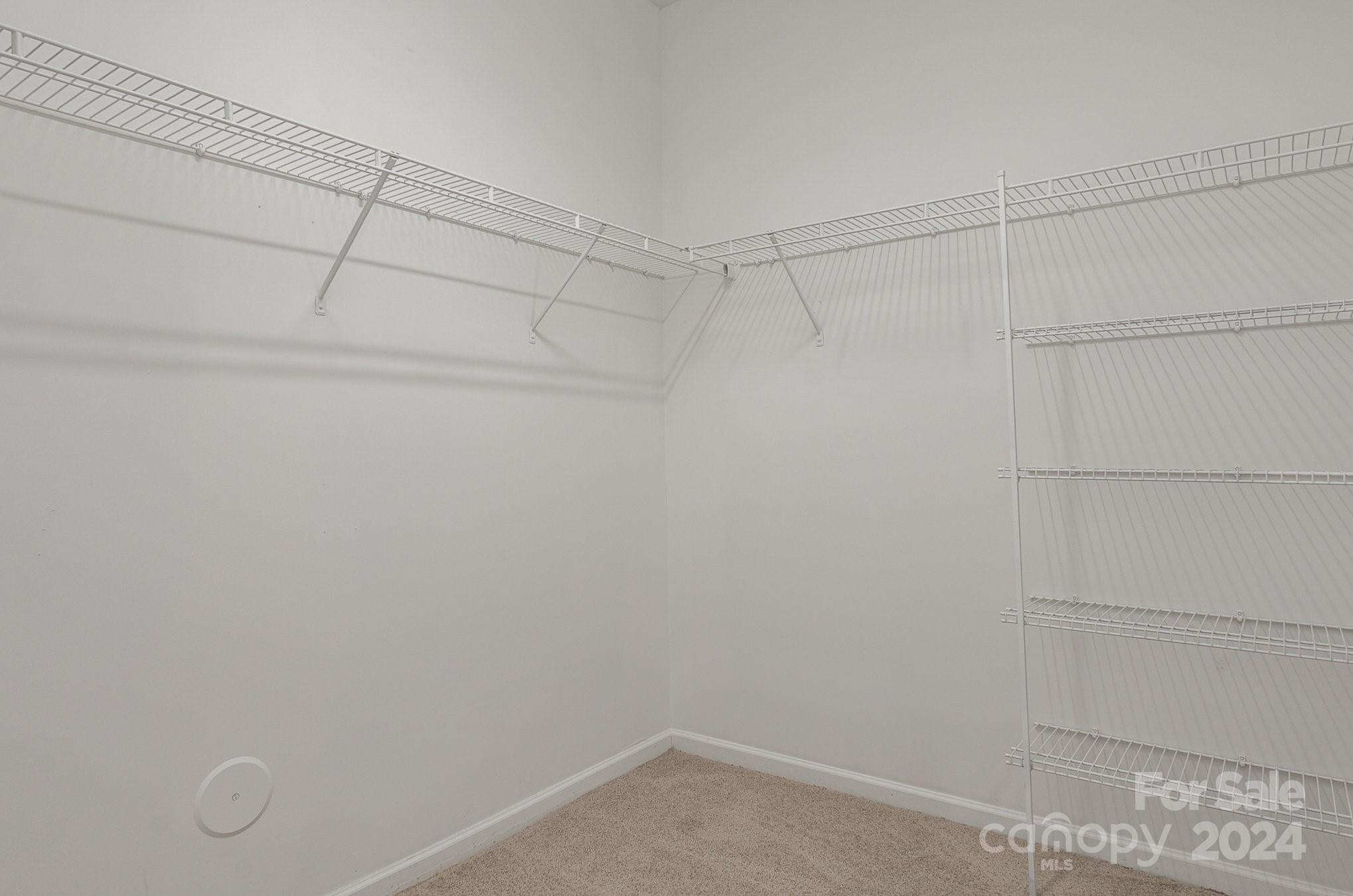 12729 Swann Branch Drive