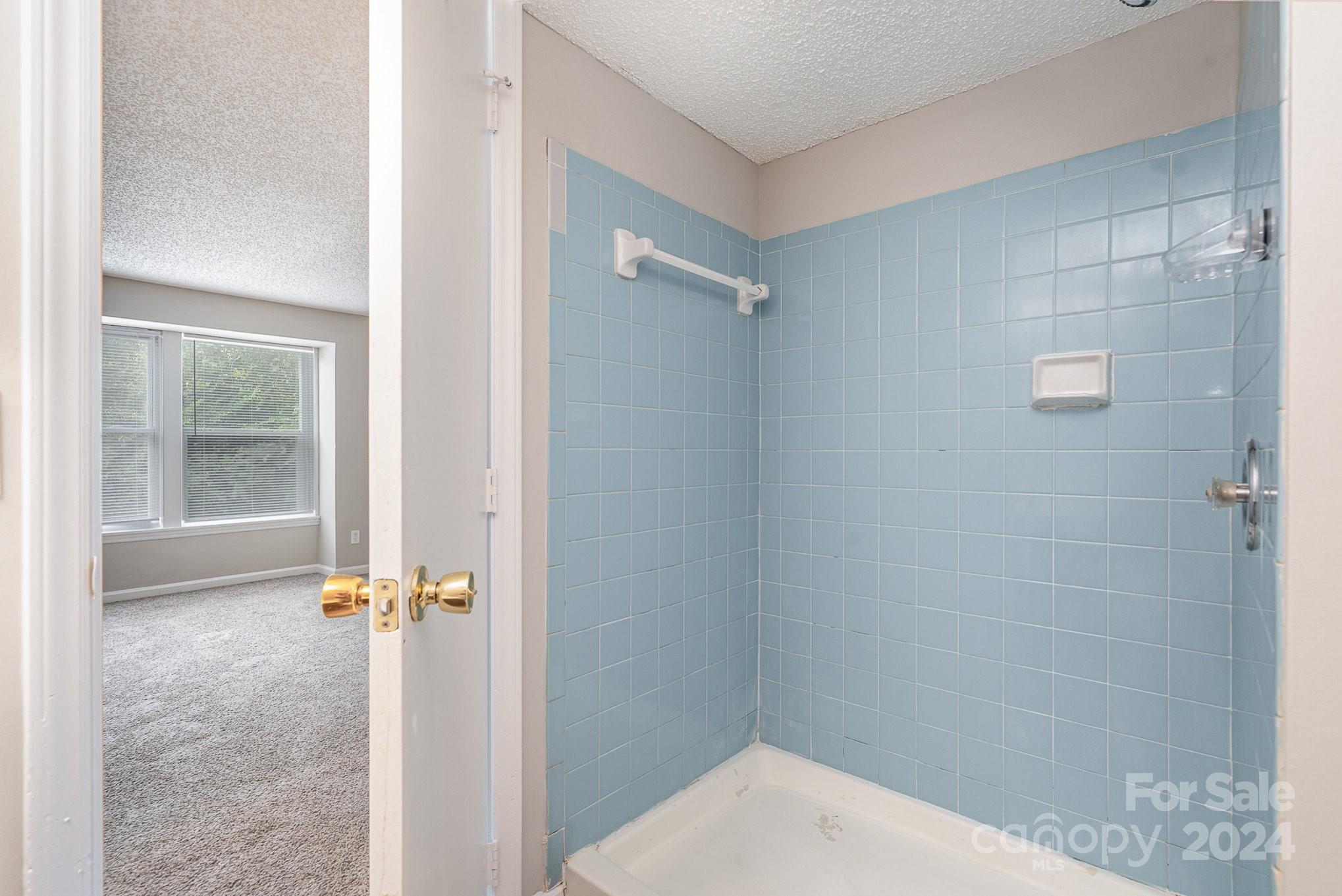 9541 Shannon Green Drive