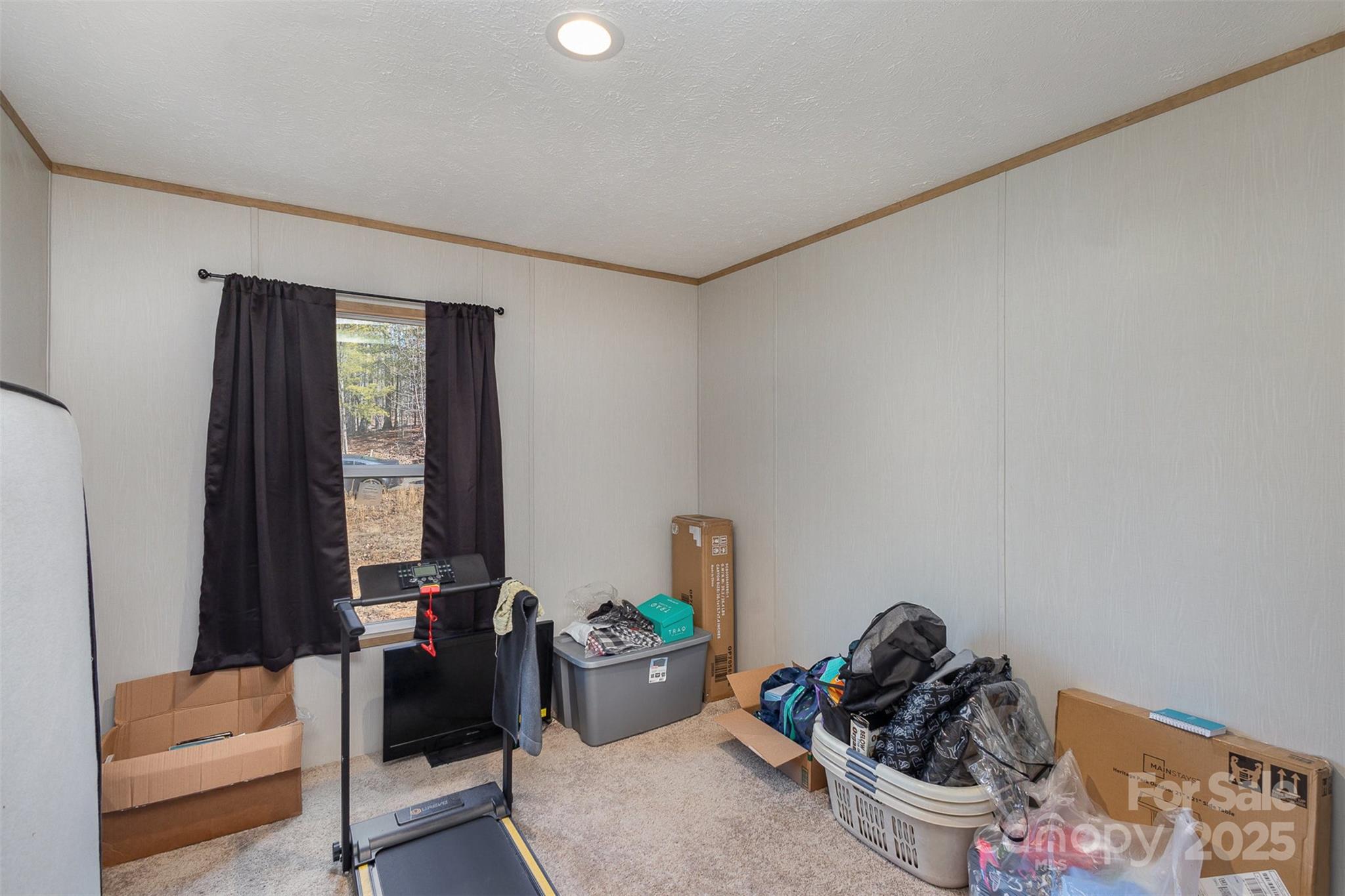 616 Lhasa Apso Lane