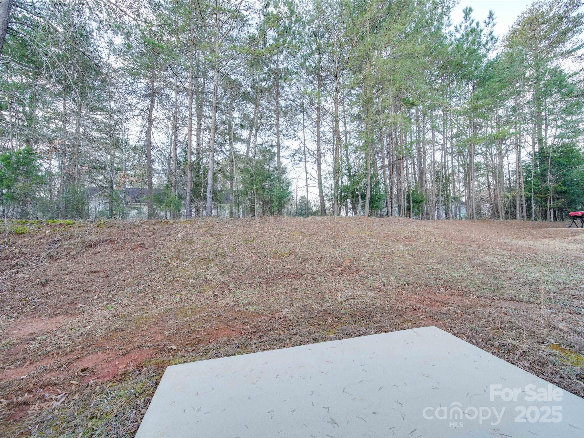 1033 Cedar Village Trail