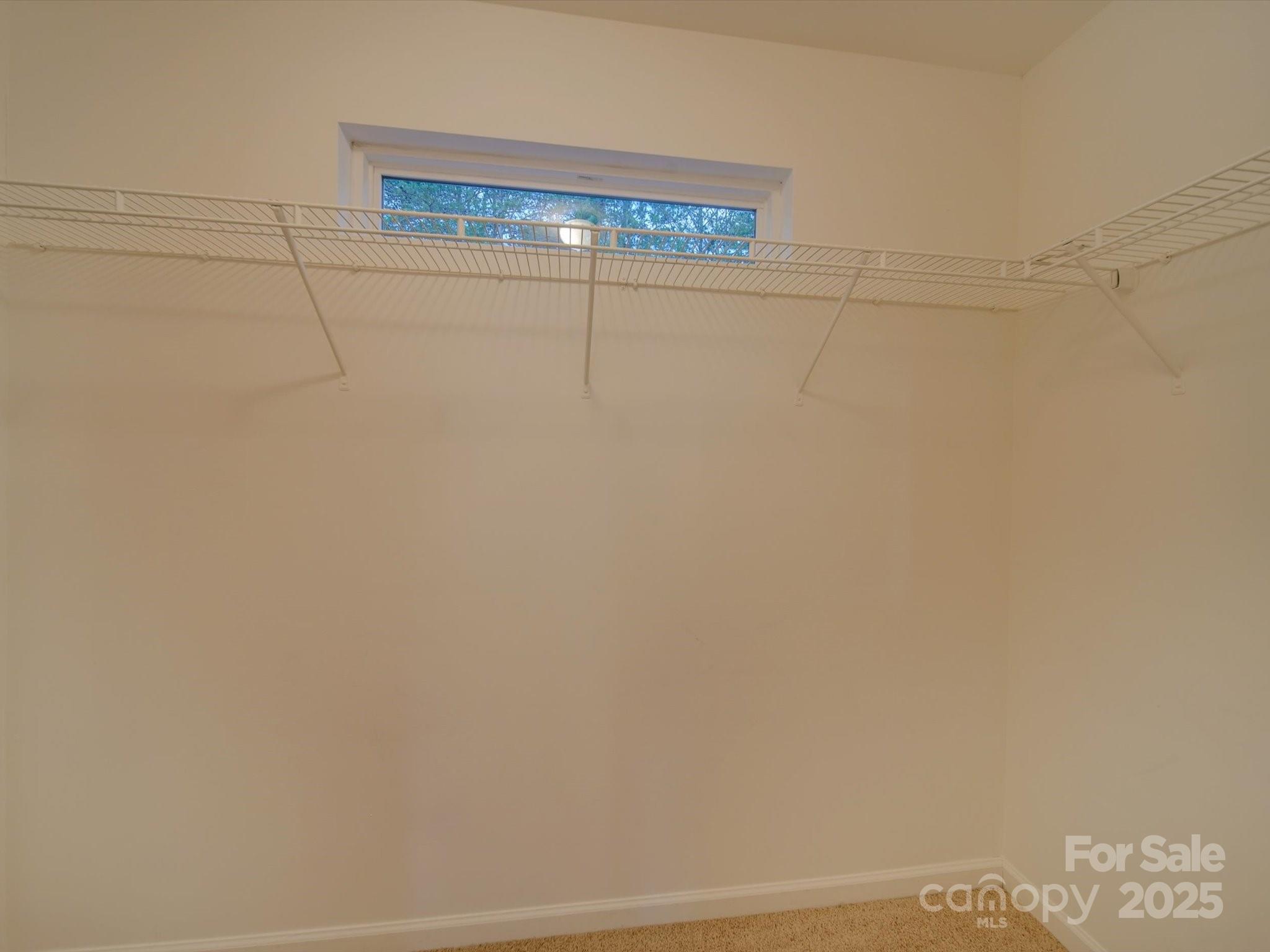 1033 Cedar Village Trail