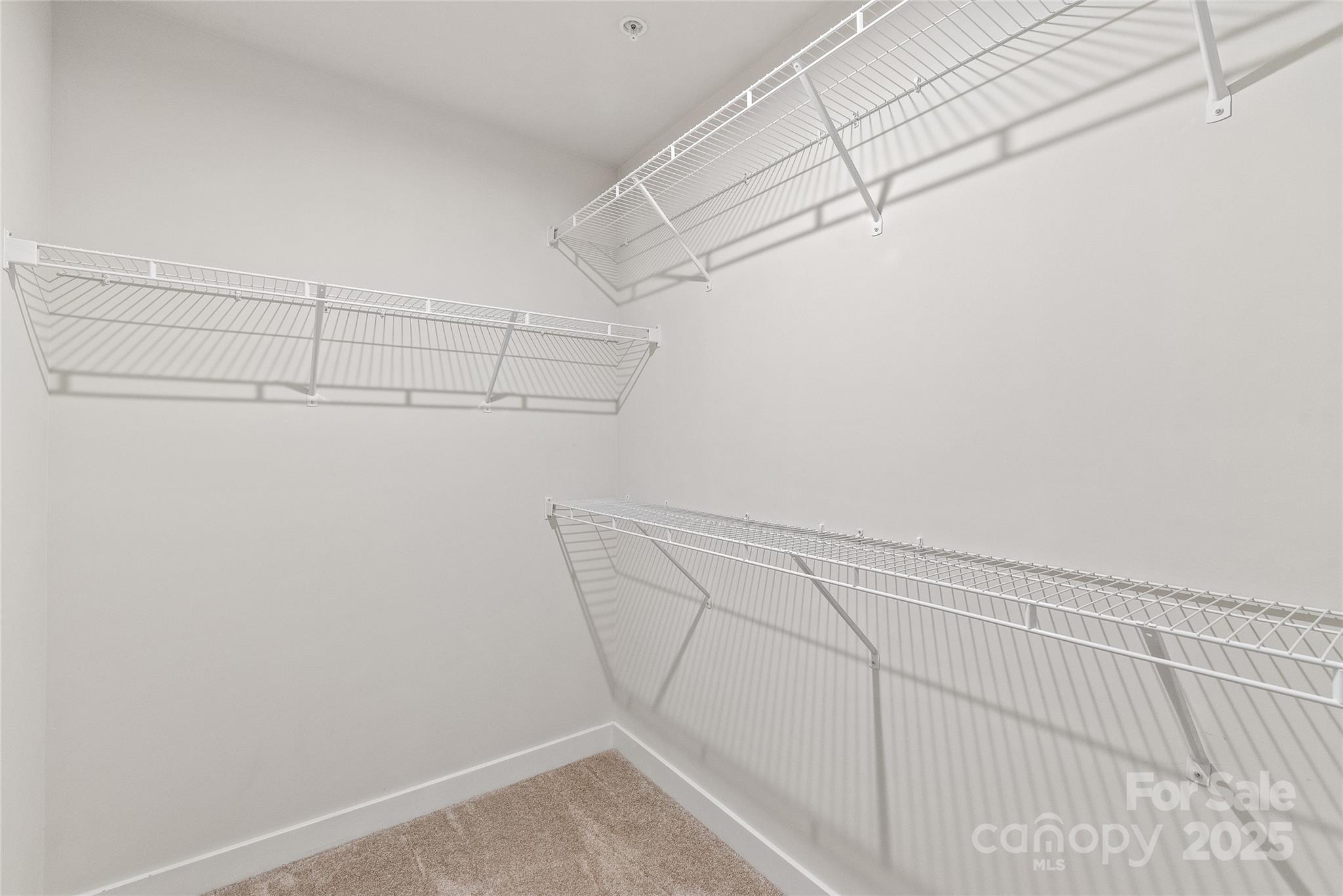 232 Parkwood Avenue