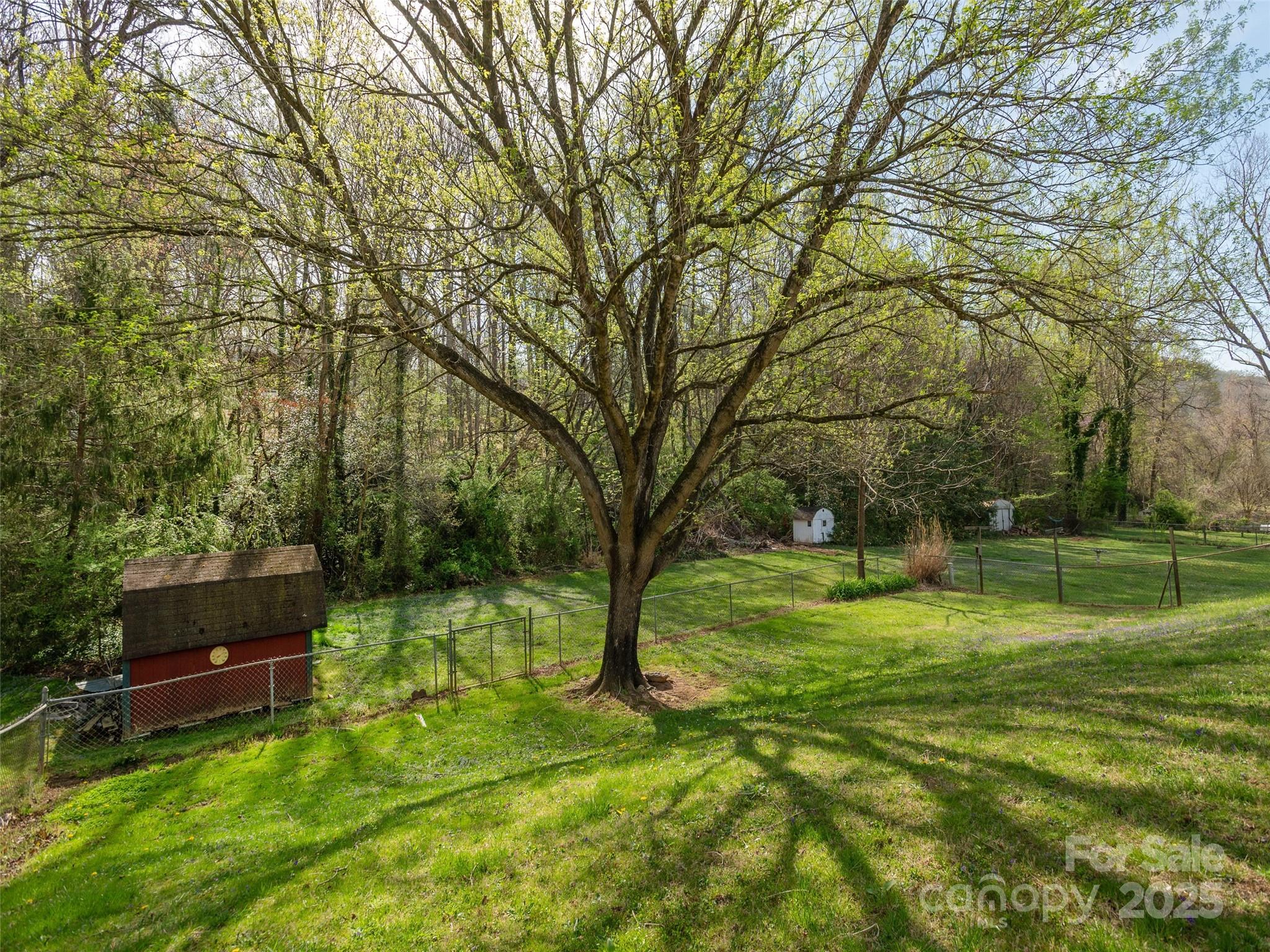 12 Birchwood Lane