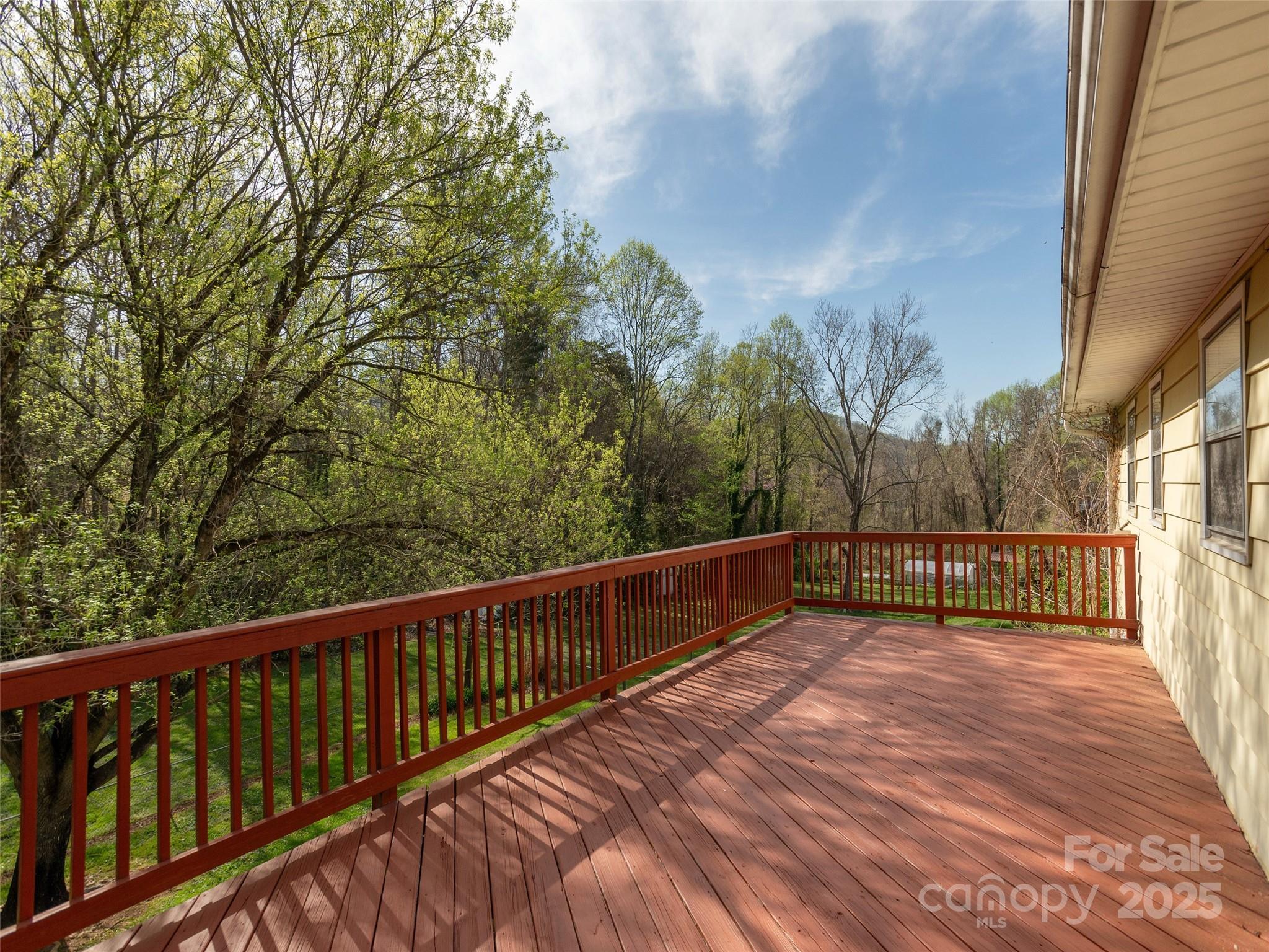 12 Birchwood Lane