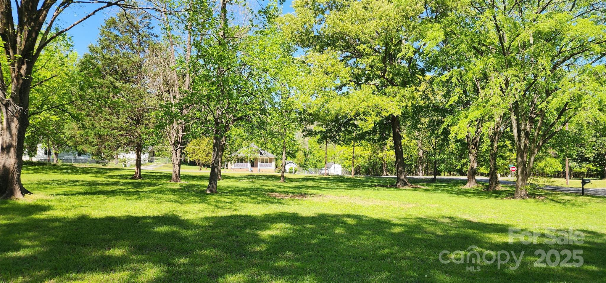 224 Charlotte Street