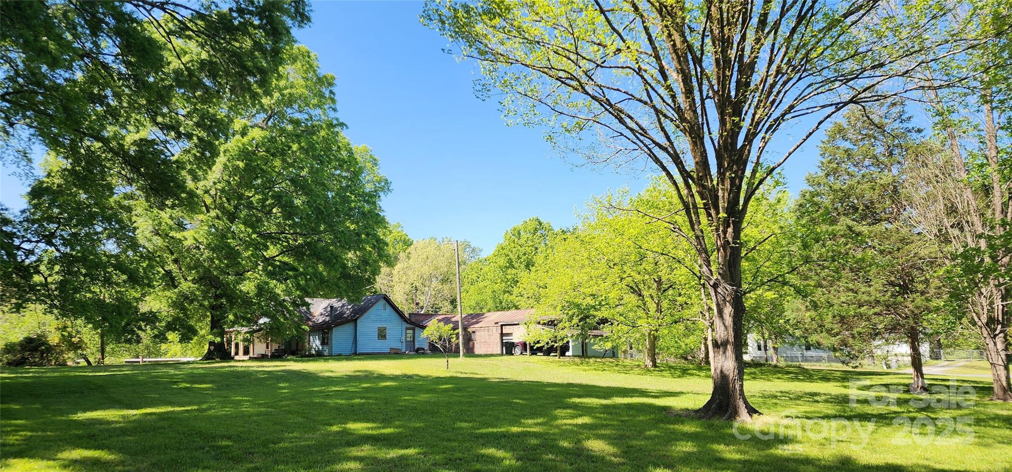 224 Charlotte Street