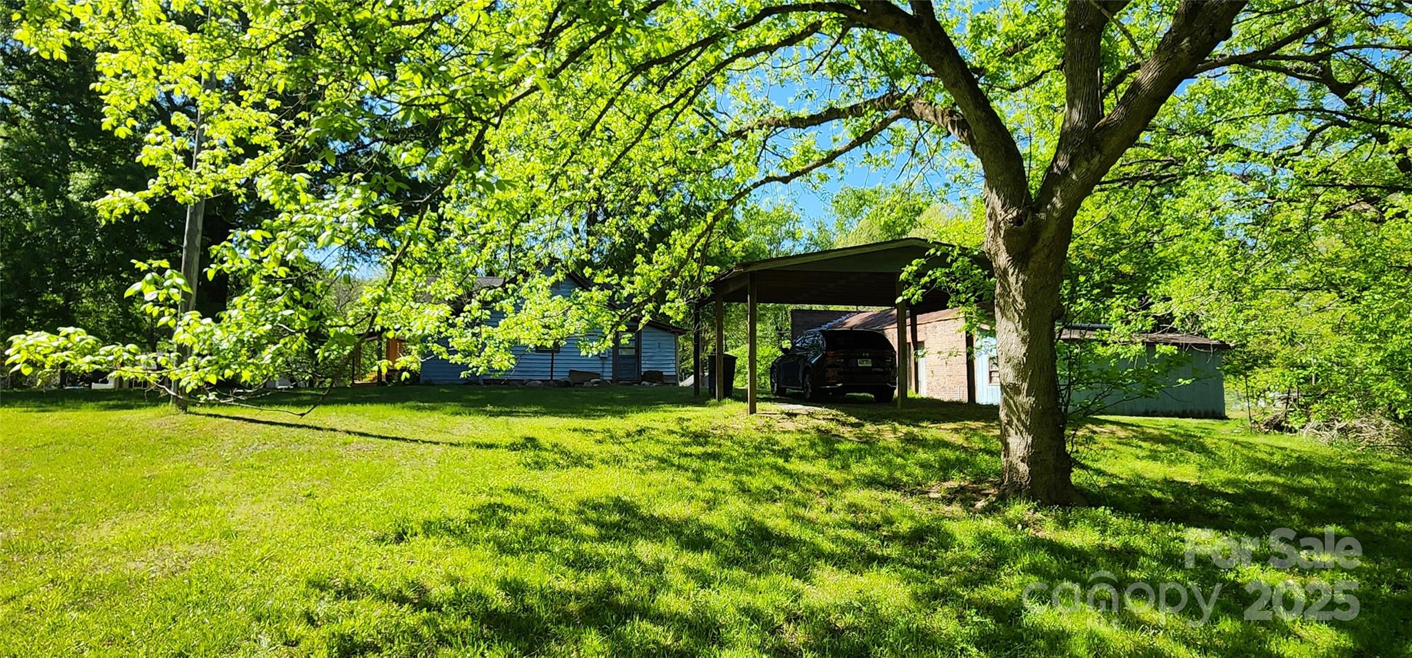 224 Charlotte Street