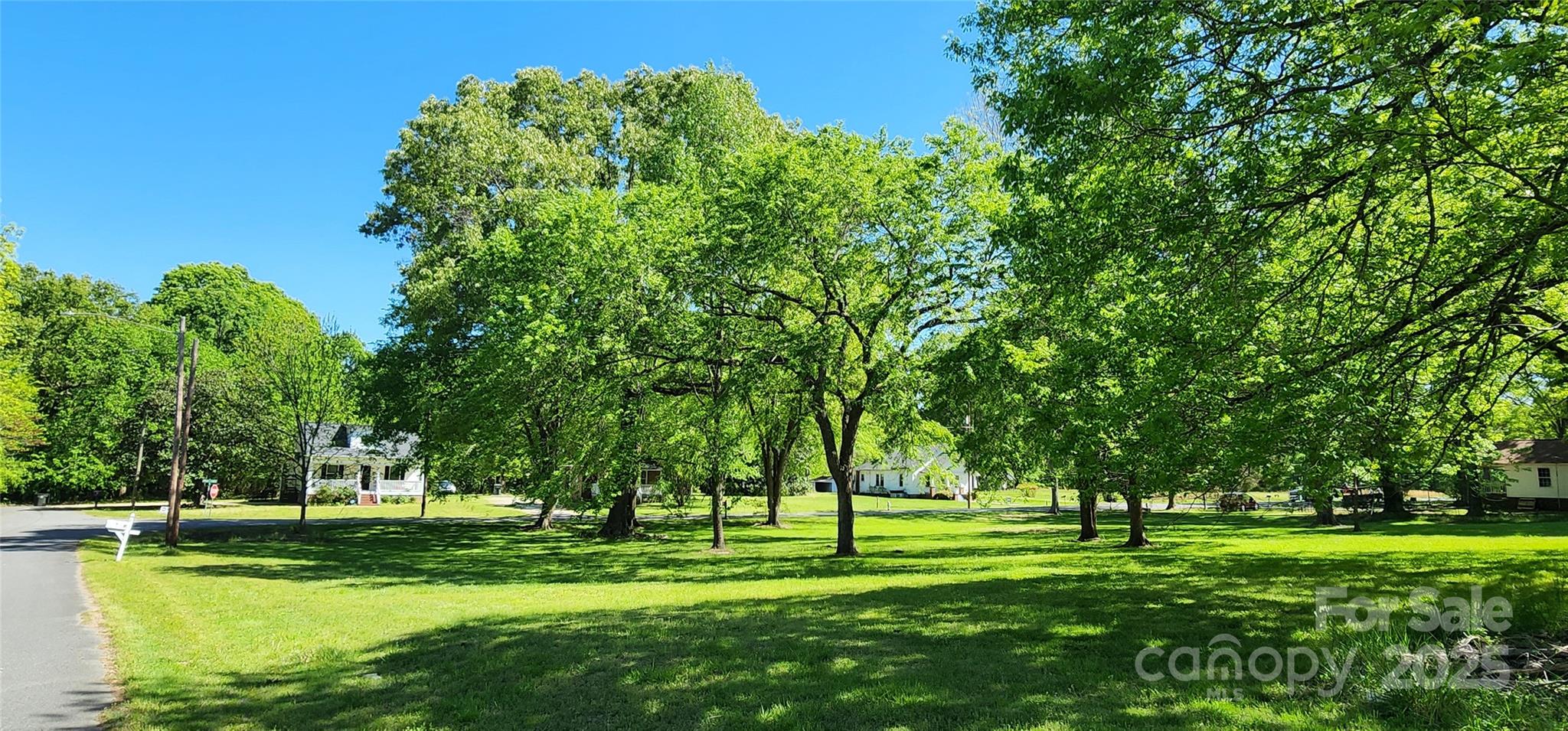 224 Charlotte Street