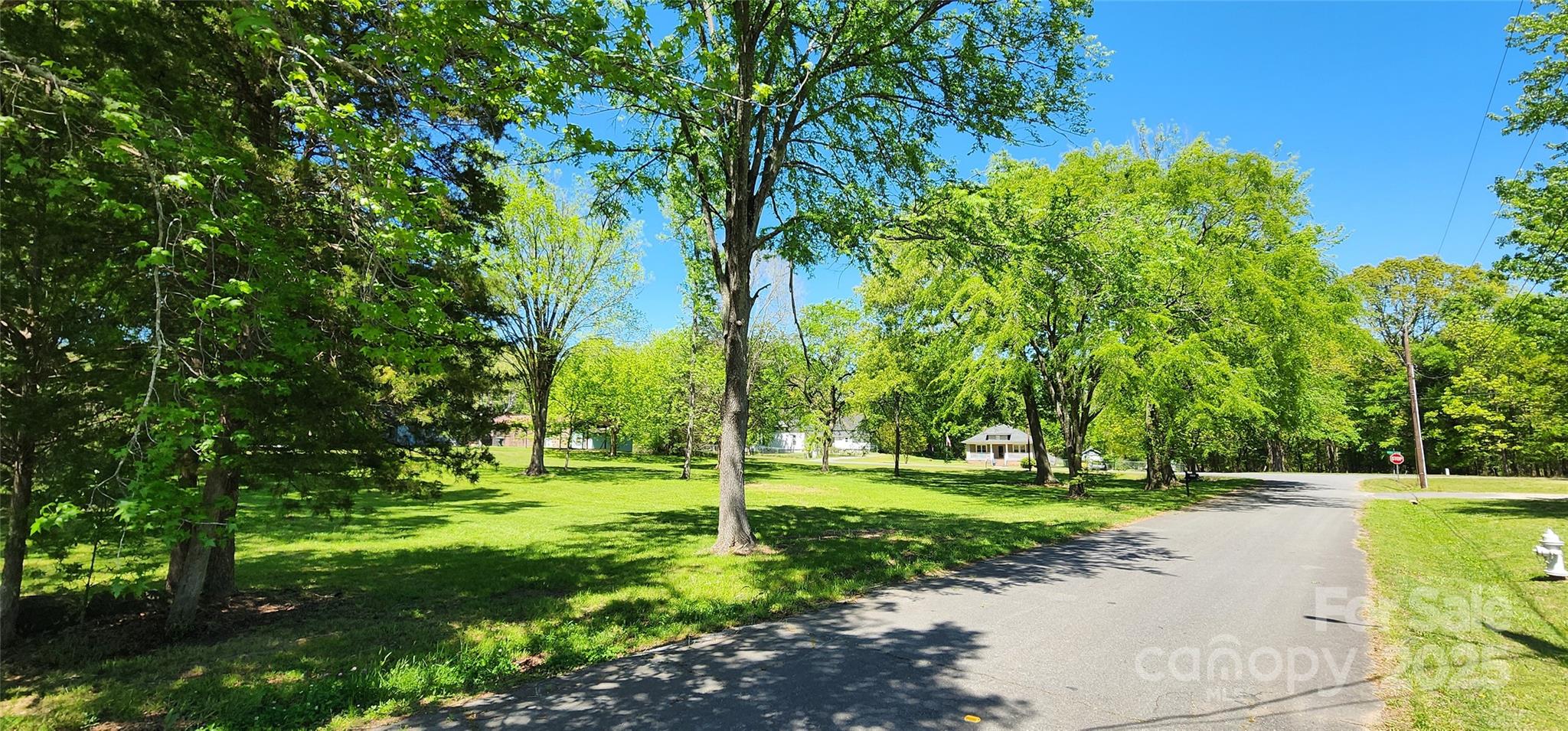 224 Charlotte Street