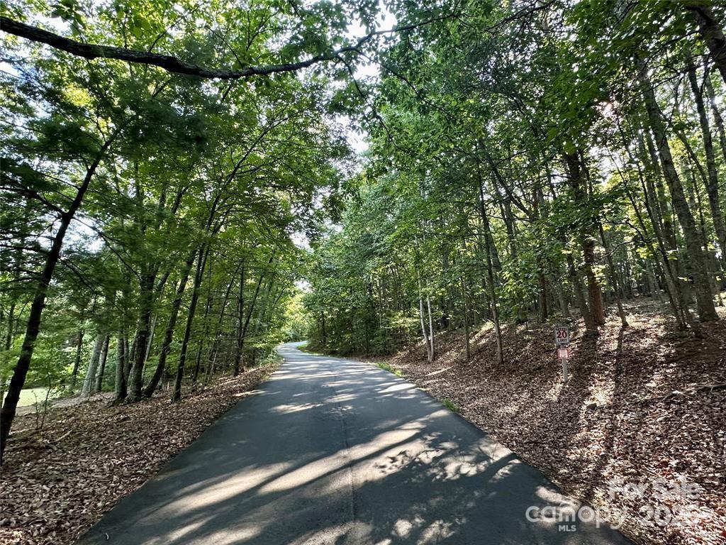 * Spanish Oak Lane Unit: Lots 5-6