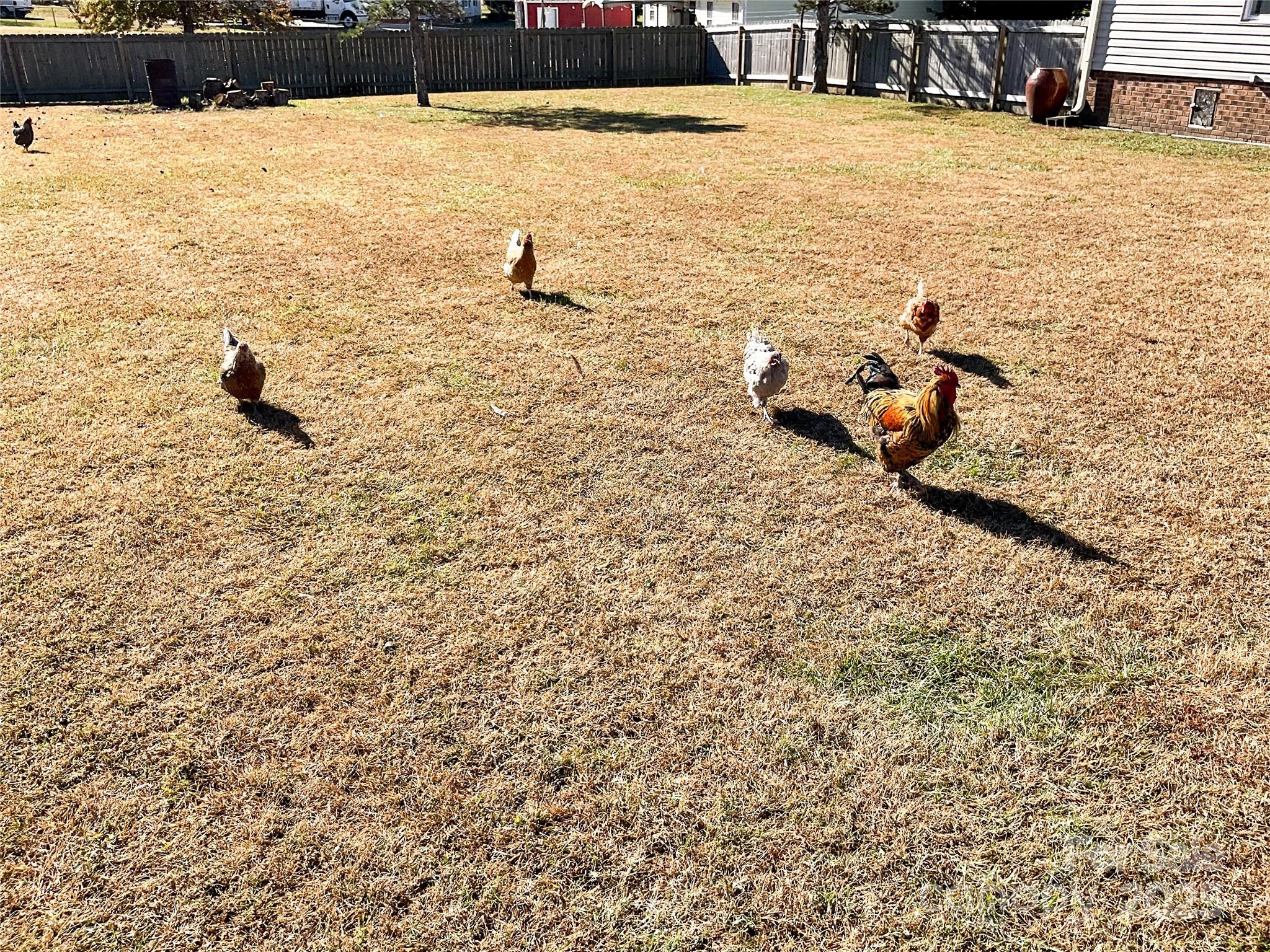 408 Cottonwood Circle