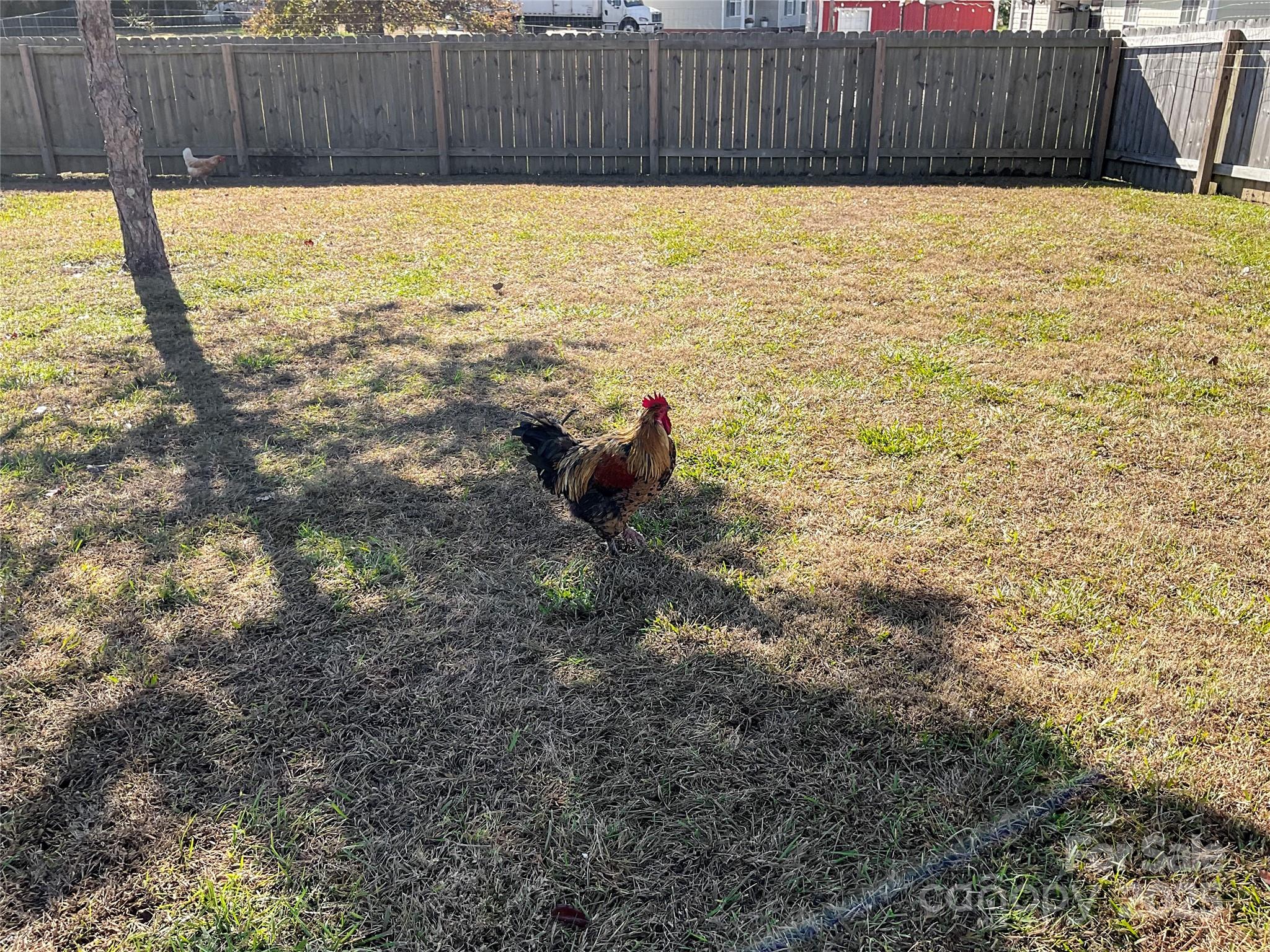 408 Cottonwood Circle