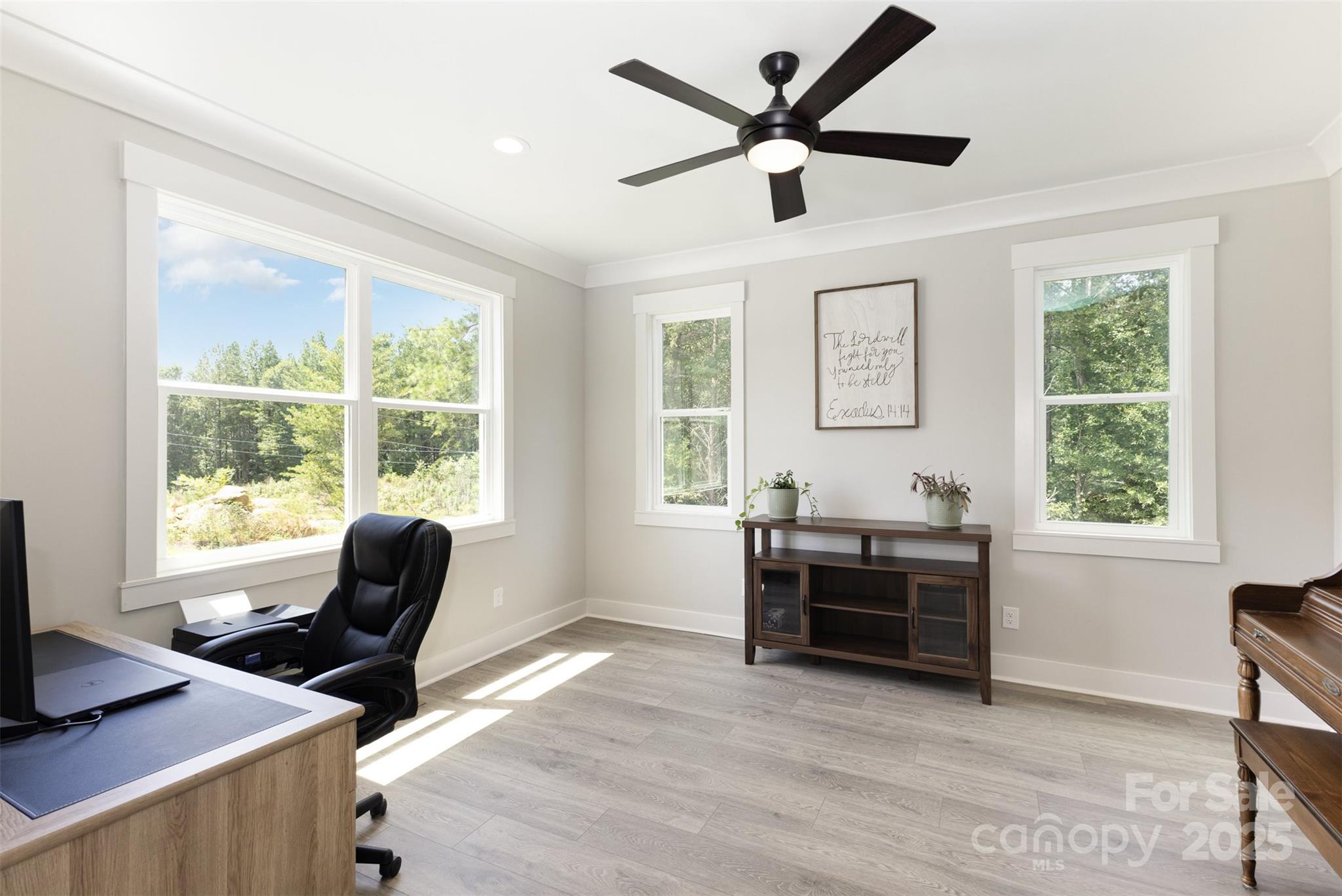 5009 Star Magnolia Court
