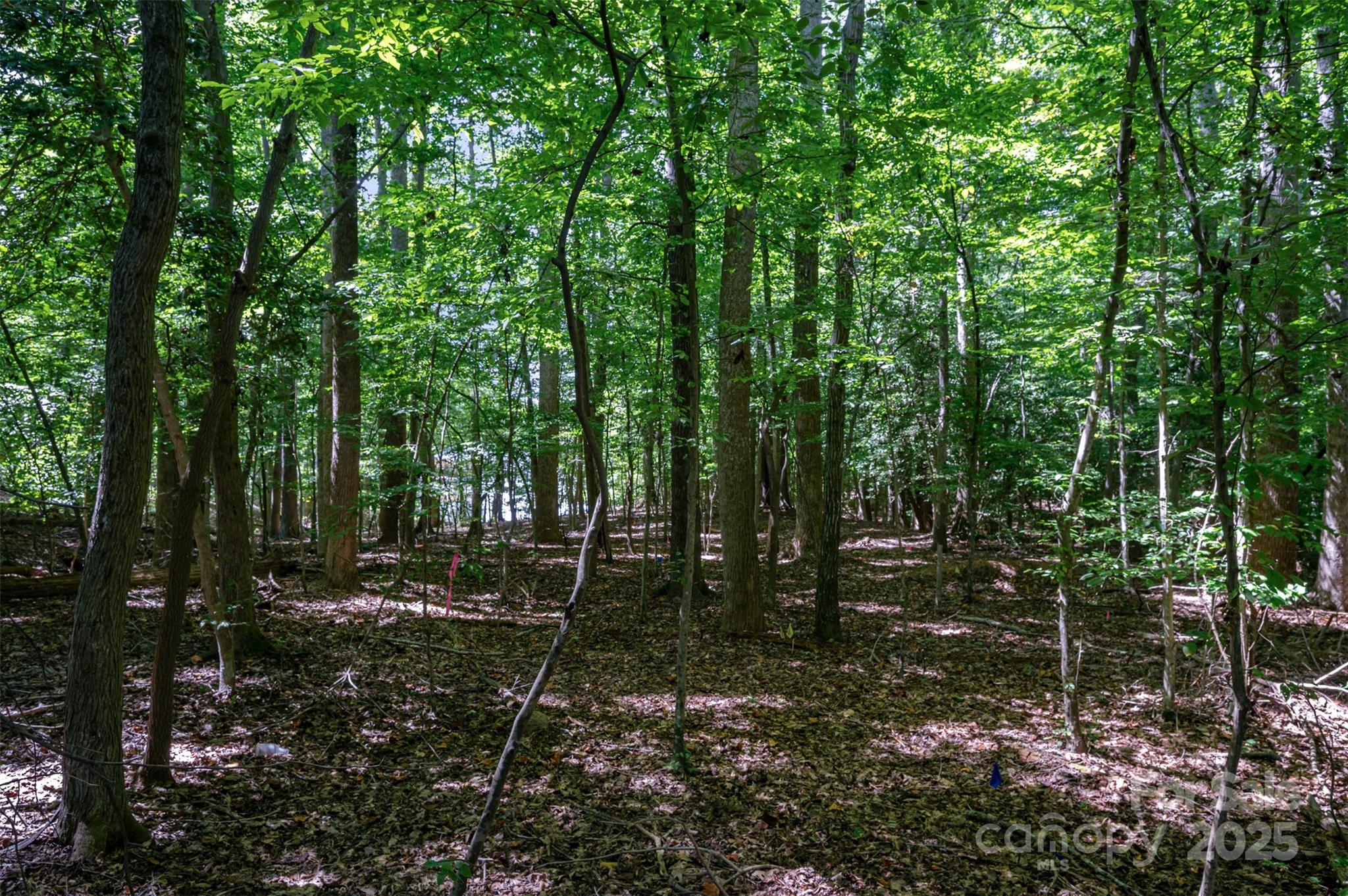 4361 Beechwood Trail