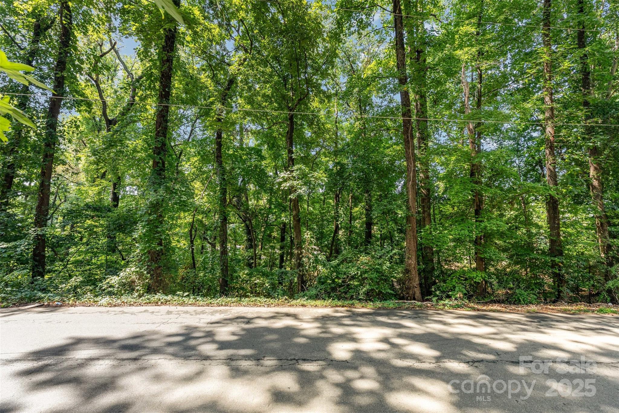 0 Juniper Drive Unit: 230/231