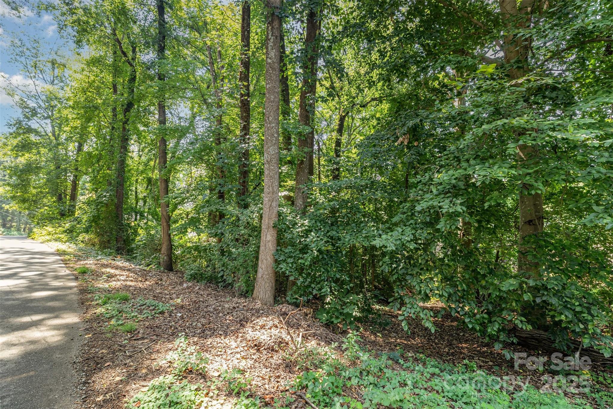 0 Juniper Drive Unit: 230/231