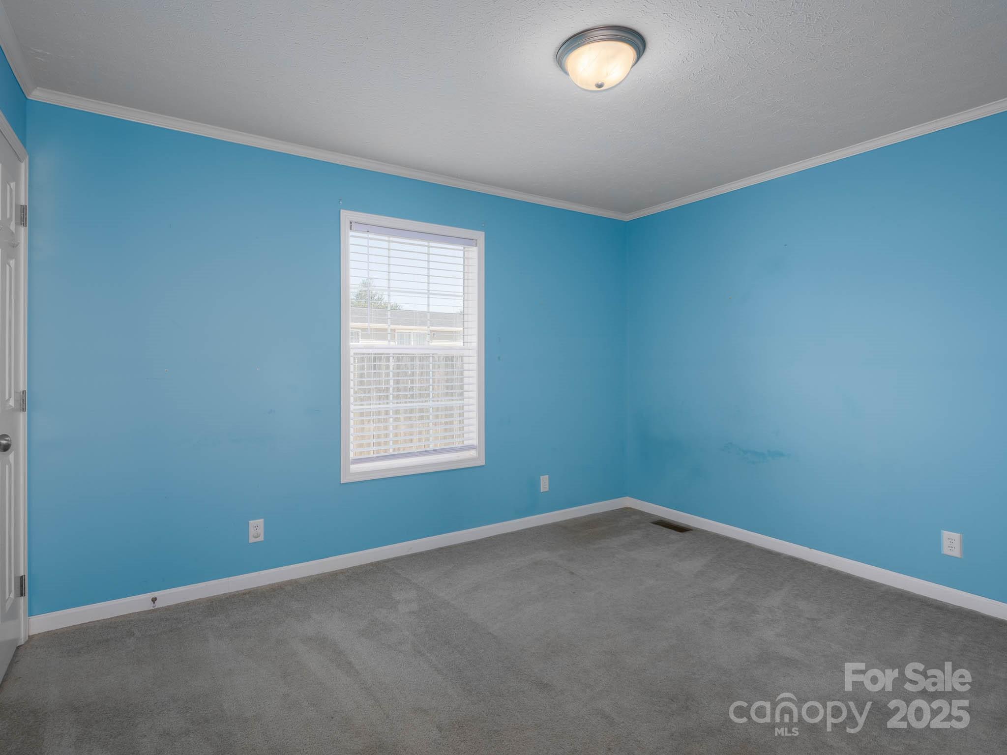 107 White Ridge Lane