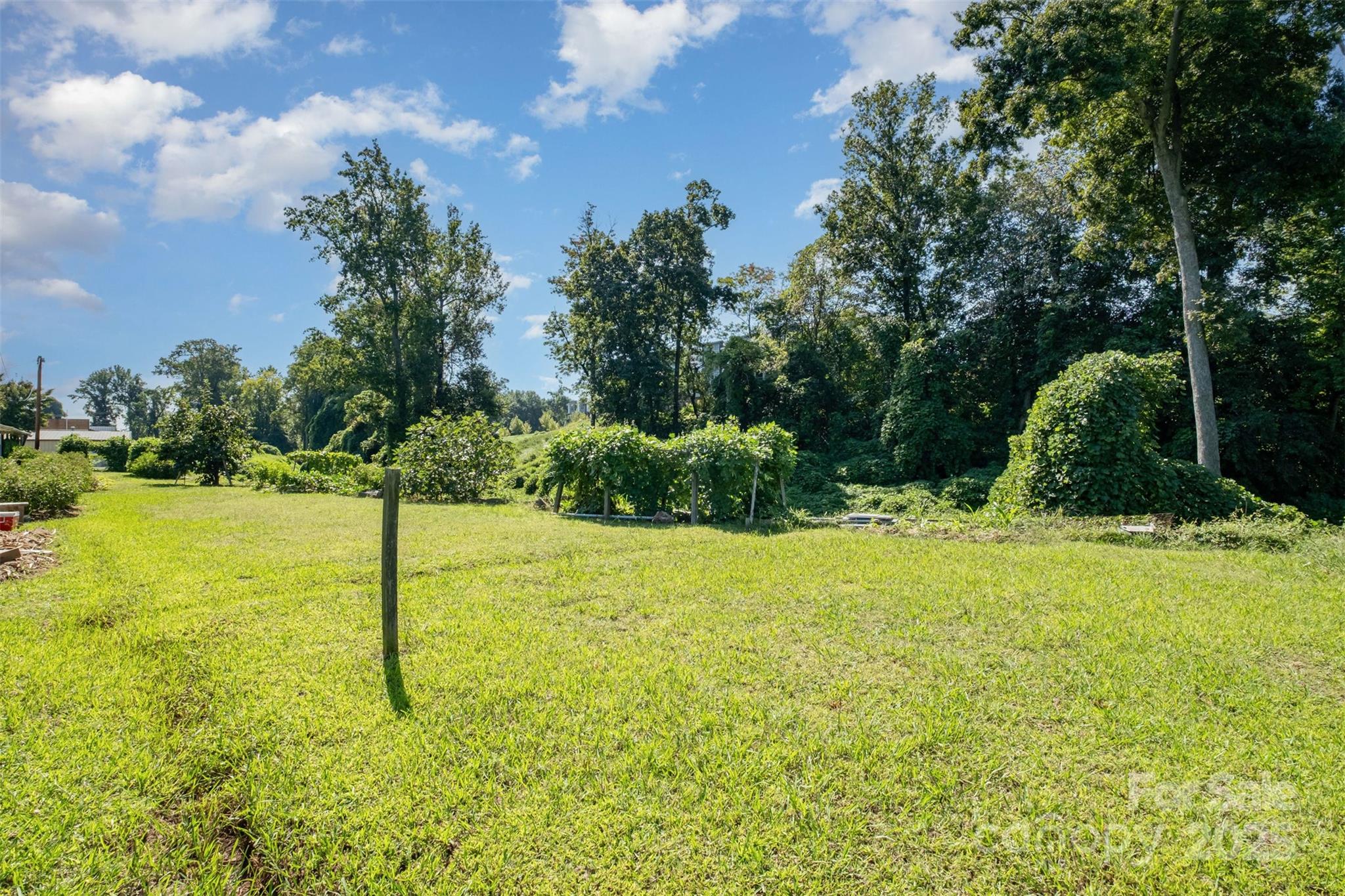 6834 Wilkinson Boulevard