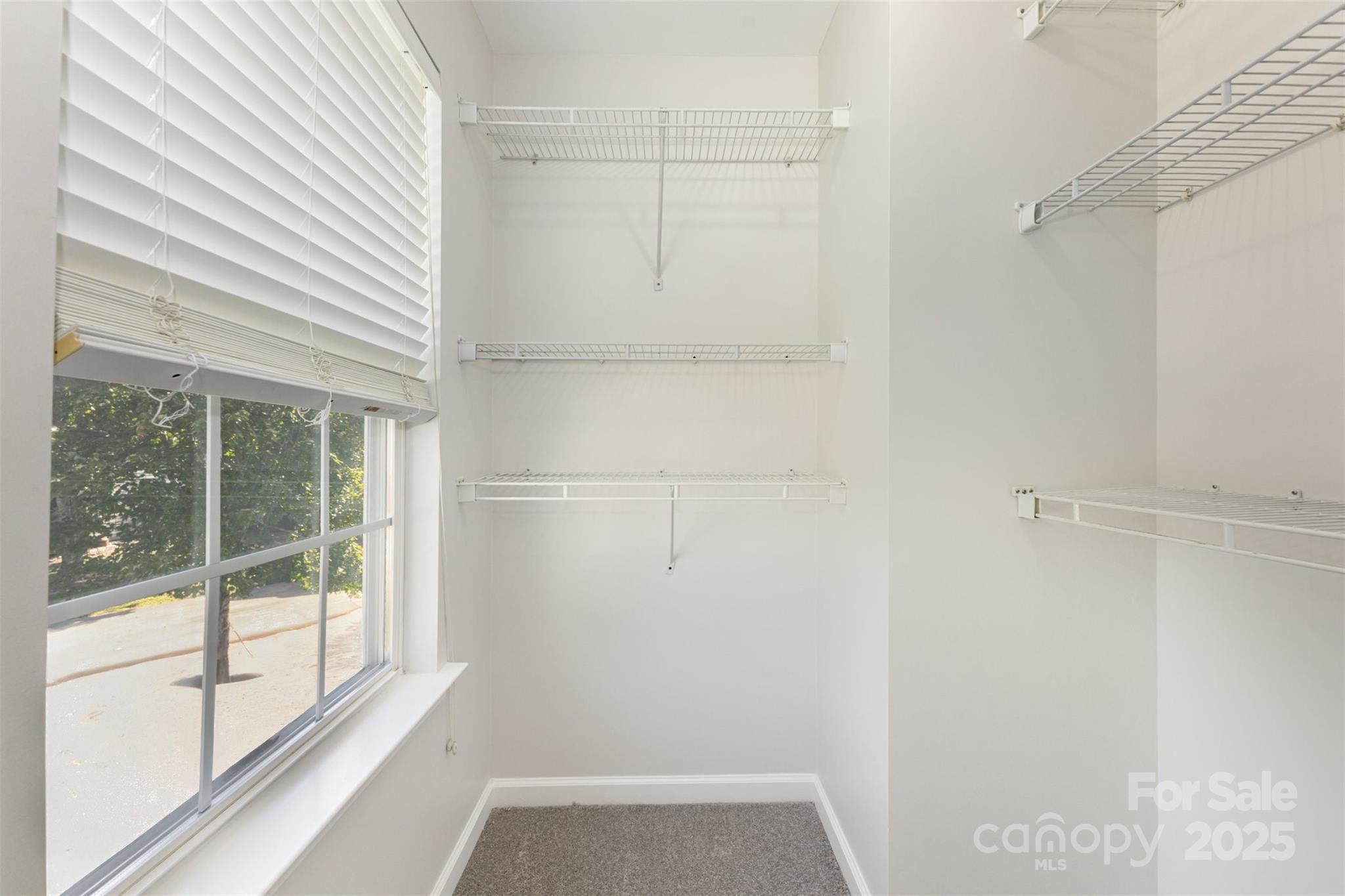 14101 Arbor Ridge Drive