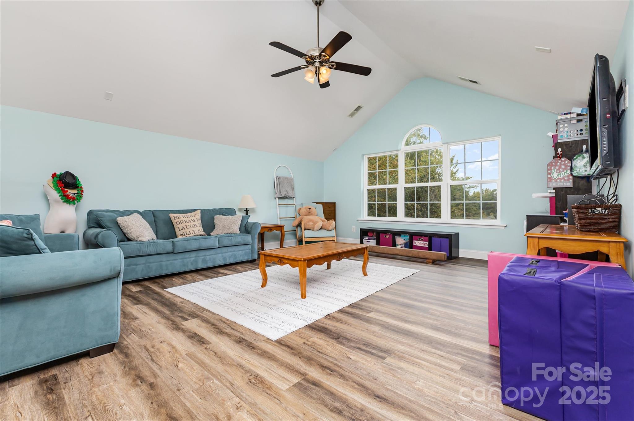 11514 Blushing Star Court