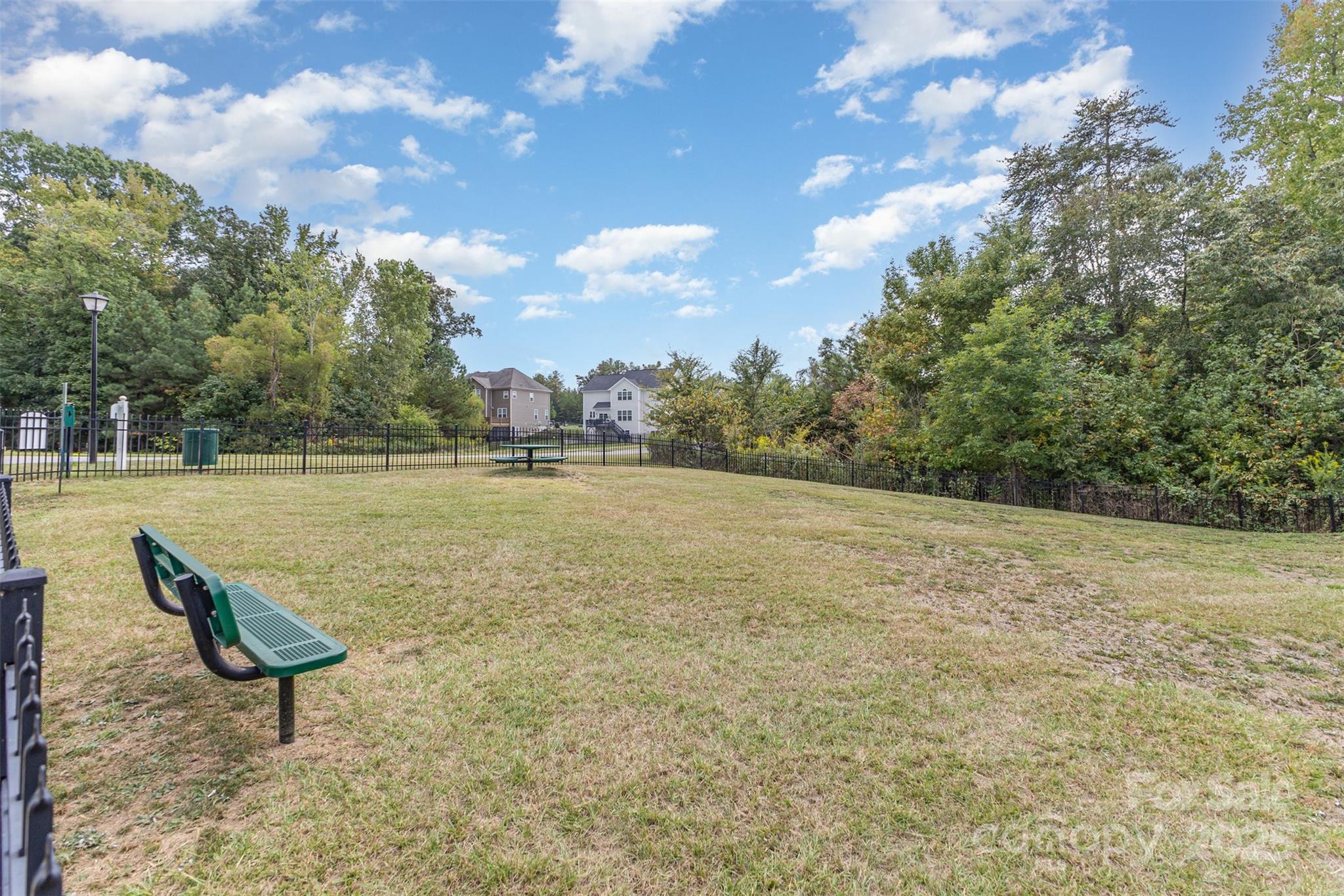 11514 Blushing Star Court