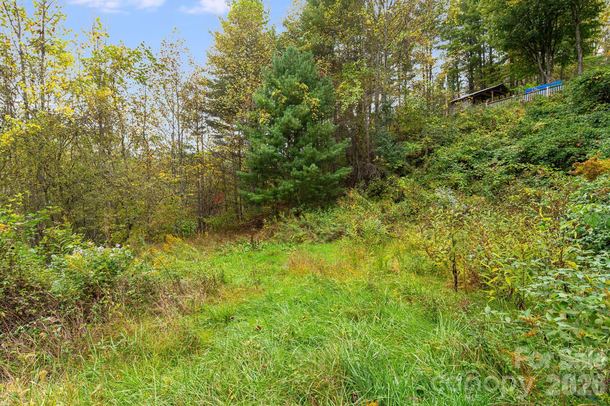 211 Evergreen Road