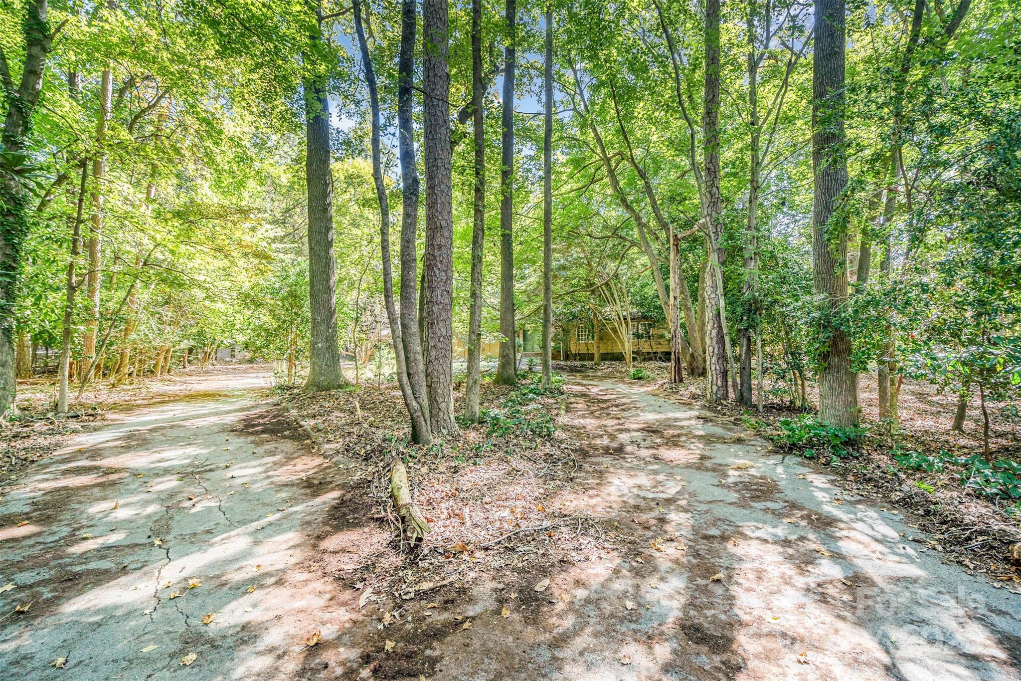 325 Sardis View Lane