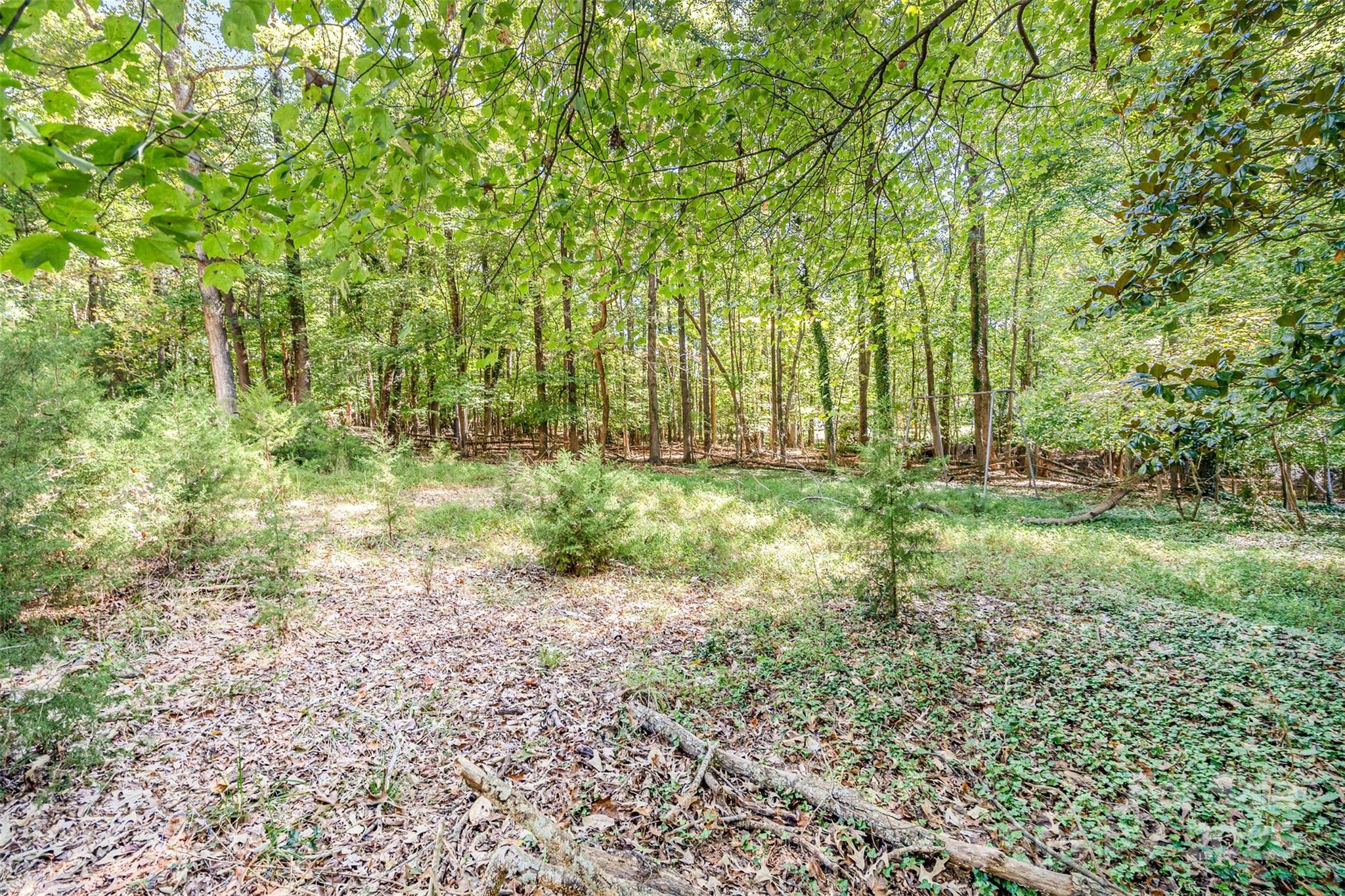 325 Sardis View Lane