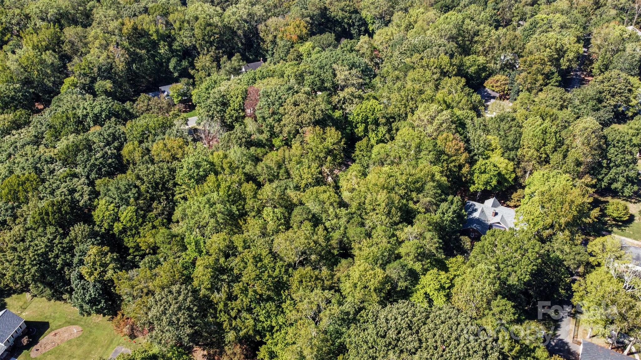 325 Sardis View Lane