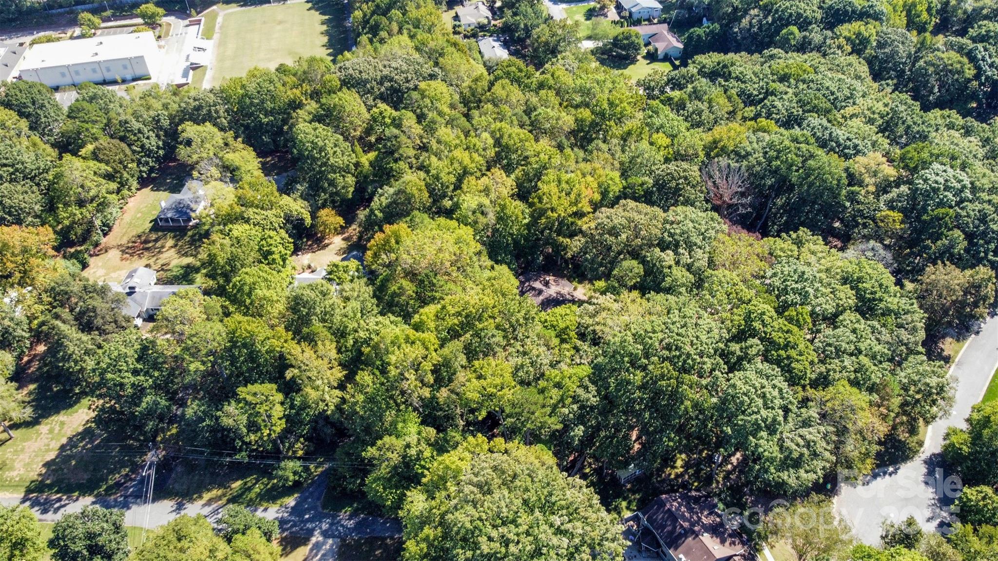 325 Sardis View Lane
