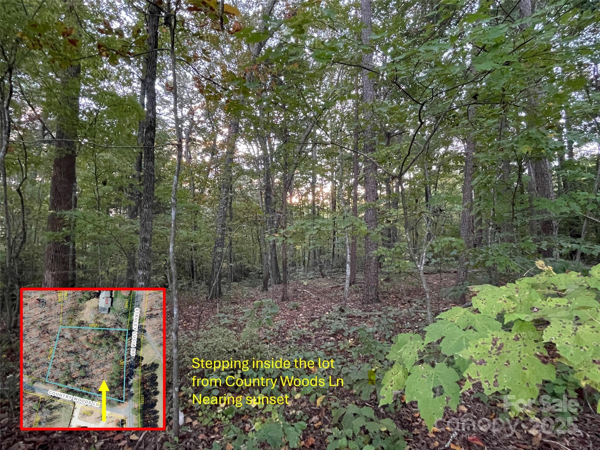 0000 Country Woods Lane