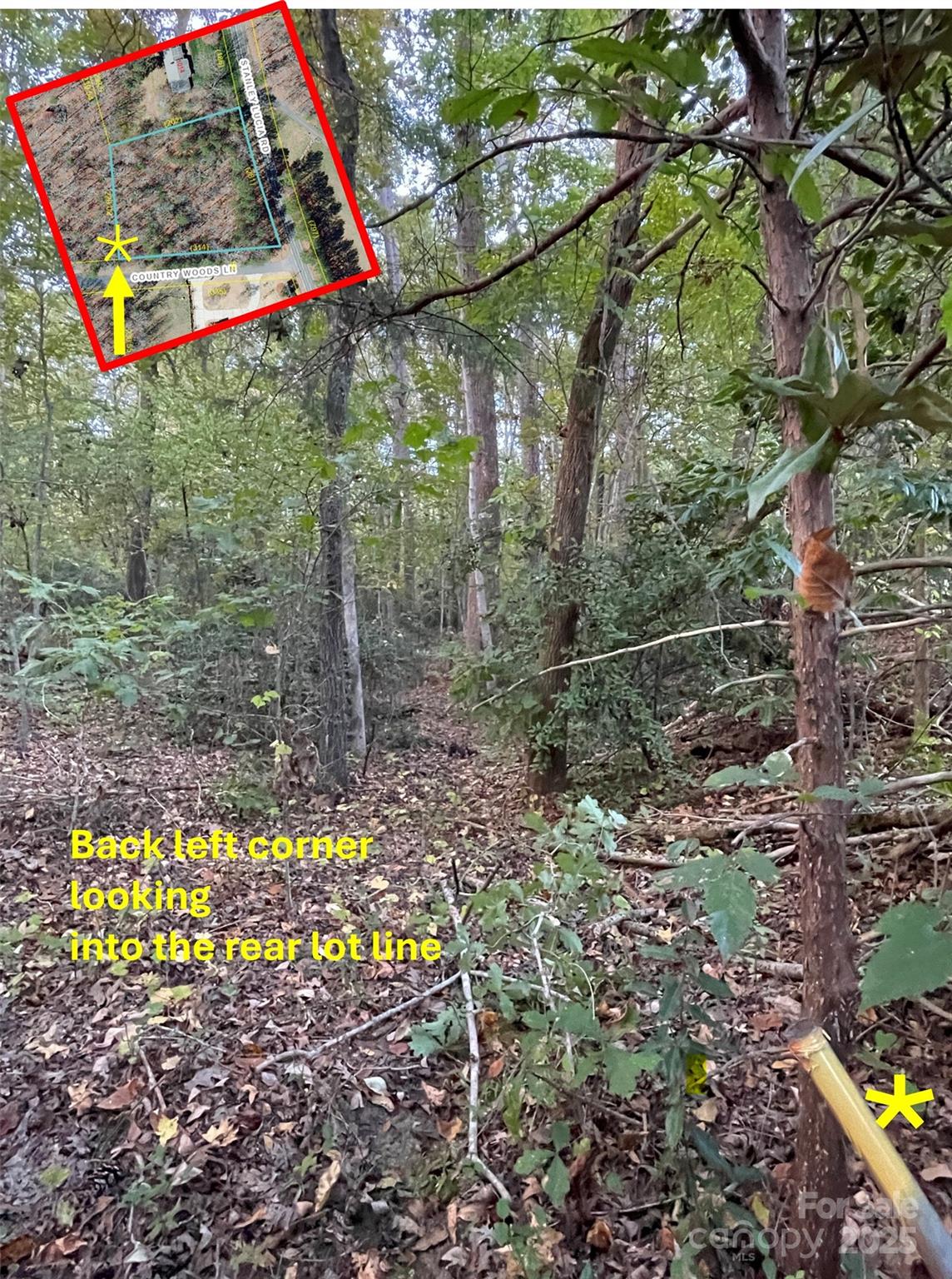 0000 Country Woods Lane