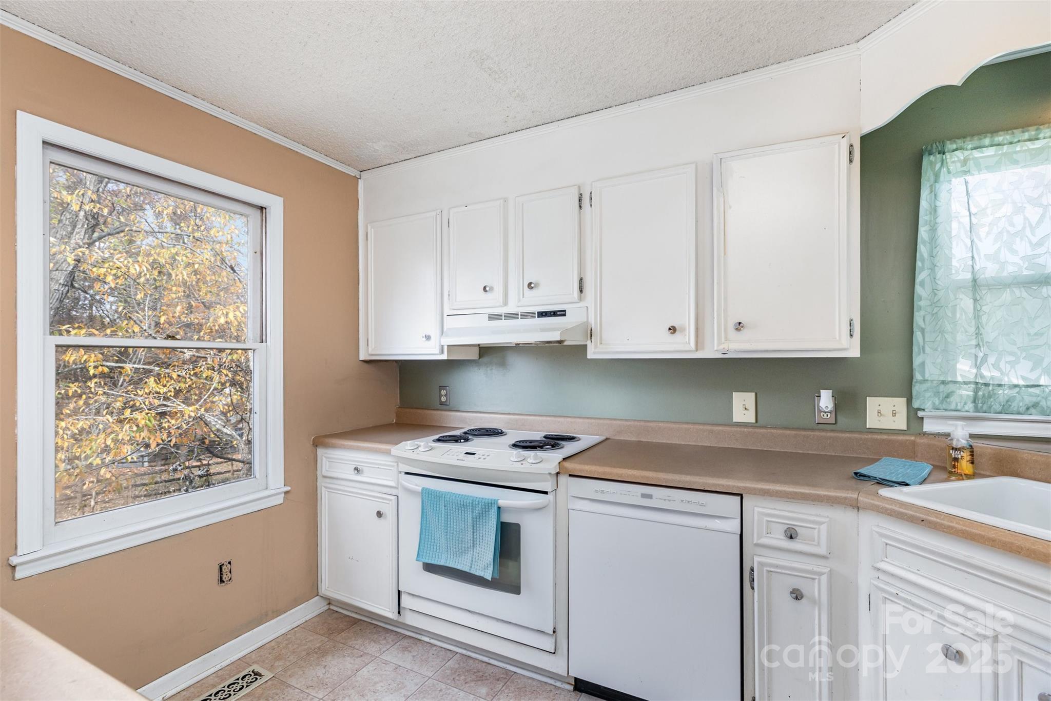 11031 Mallard Crossing Drive