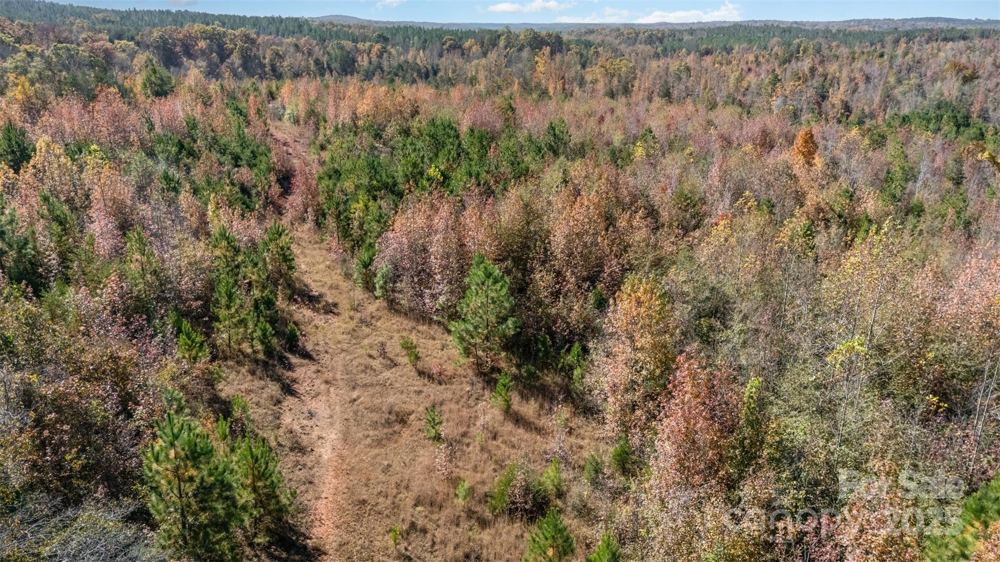 13562 Smith Ford Road