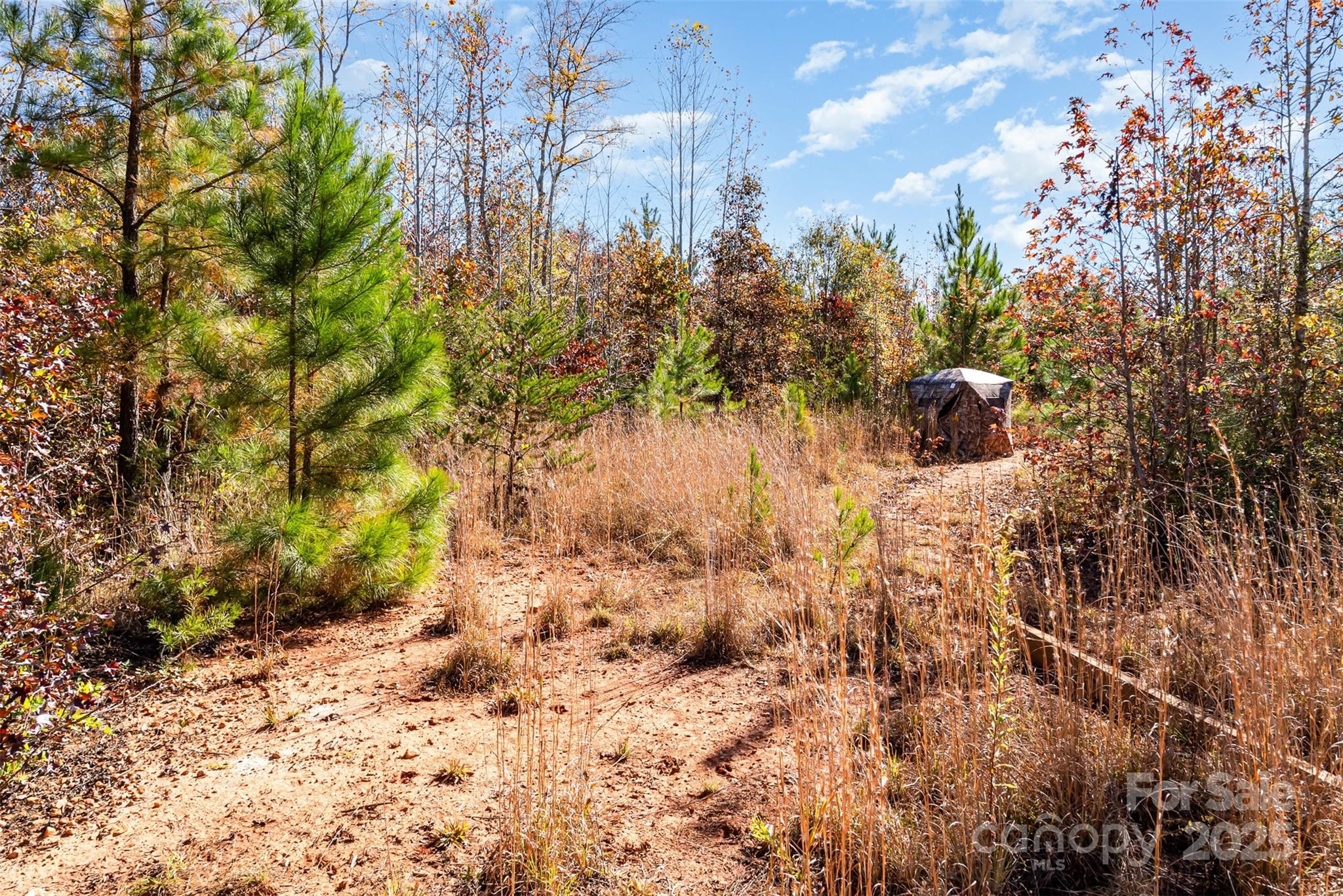 13562 Smith Ford Road