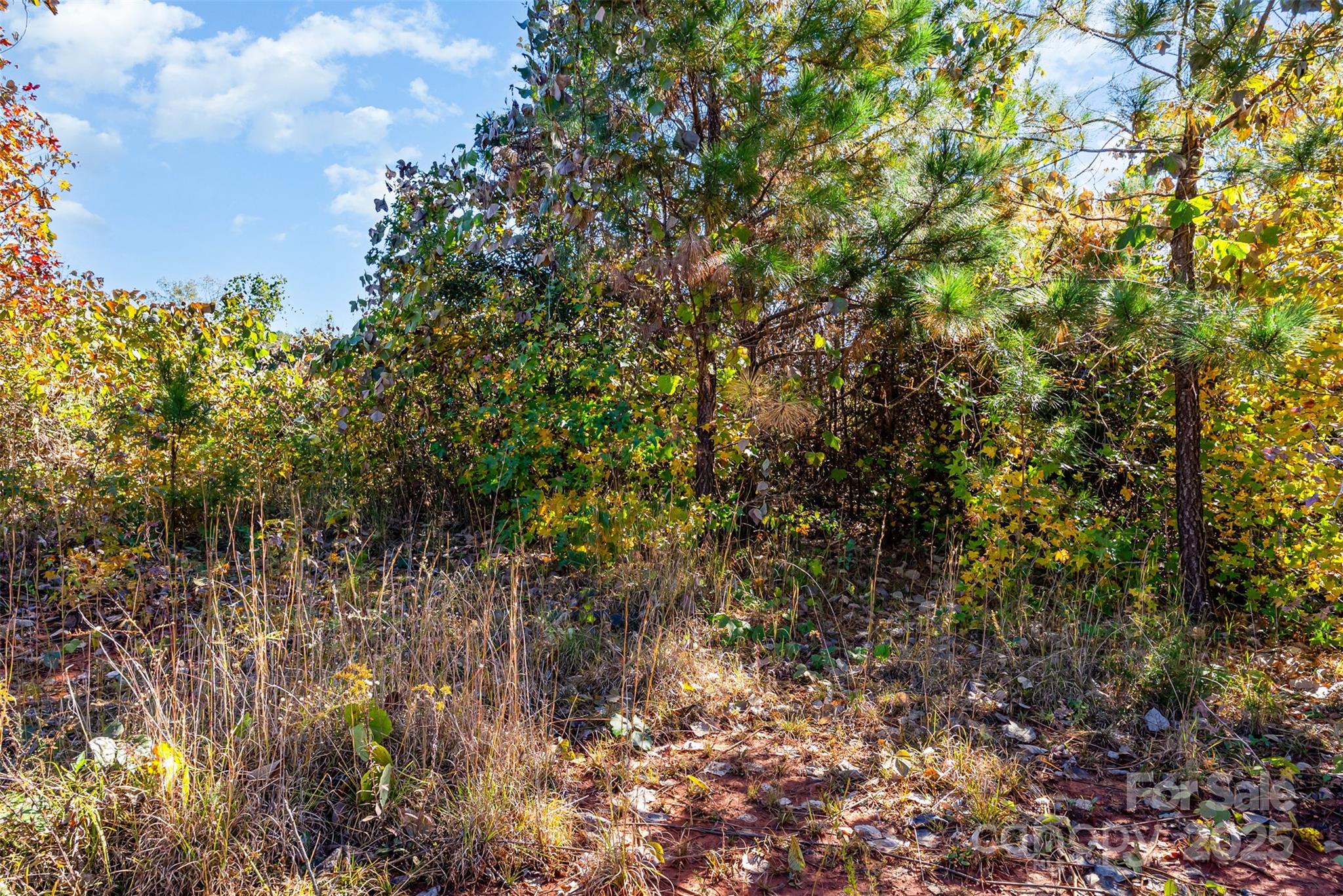 13562 Smith Ford Road