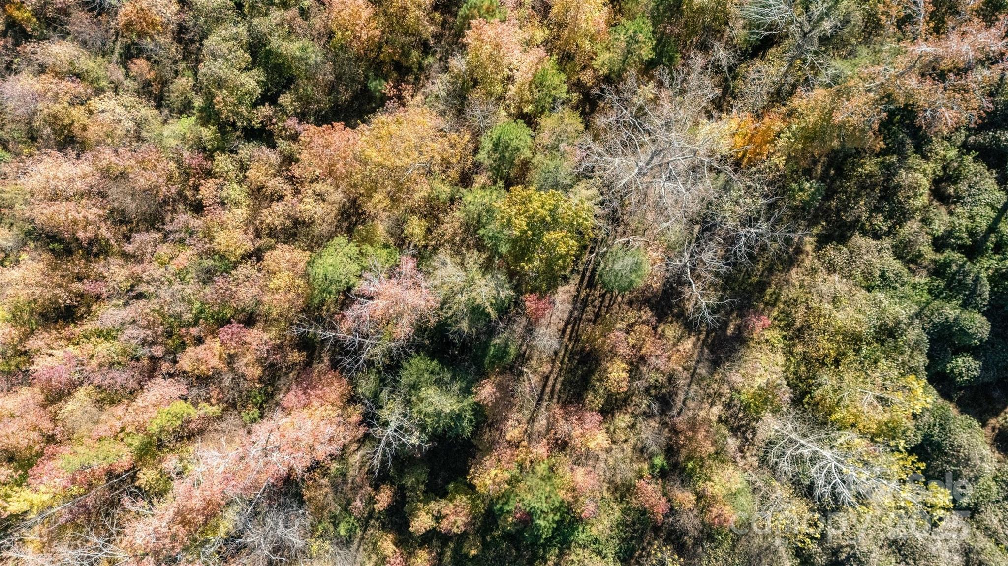 13562 Smith Ford Road