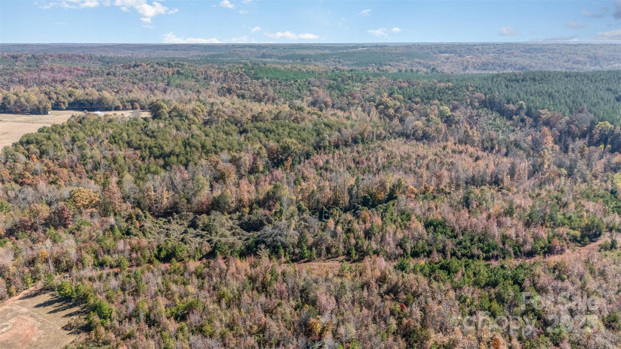 13562 Smith Ford Road