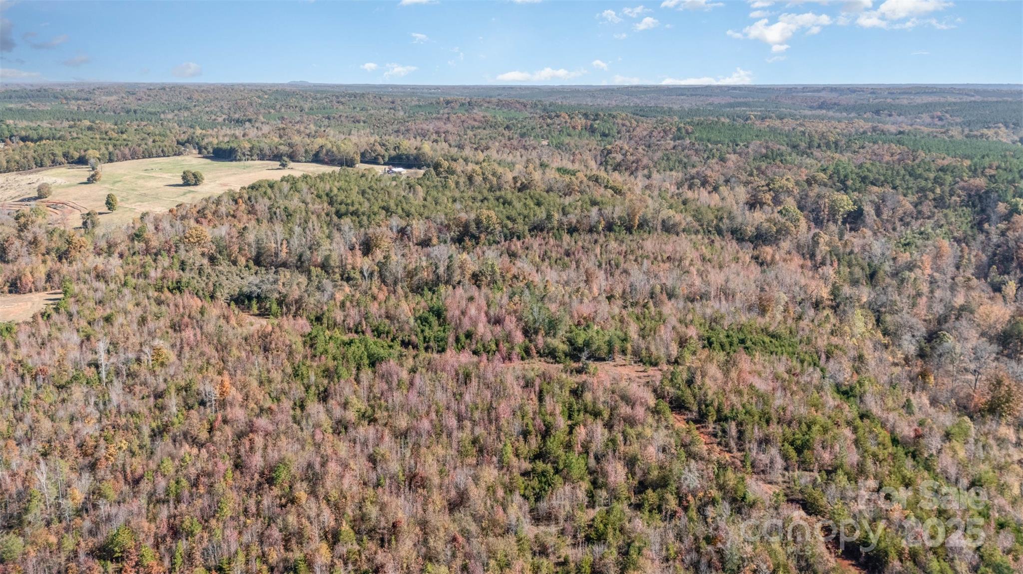 13562 Smith Ford Road