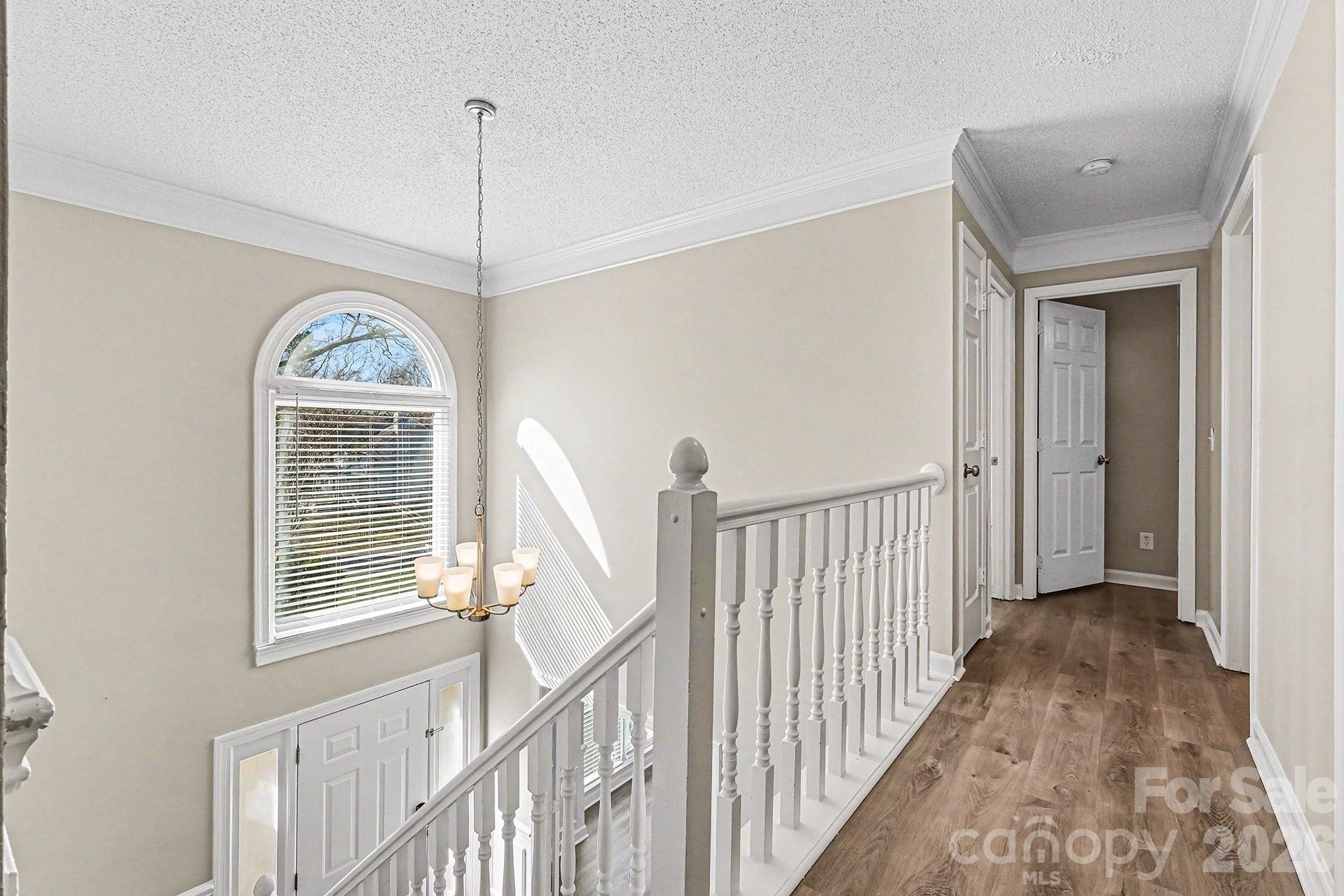 7208 Insdale Court