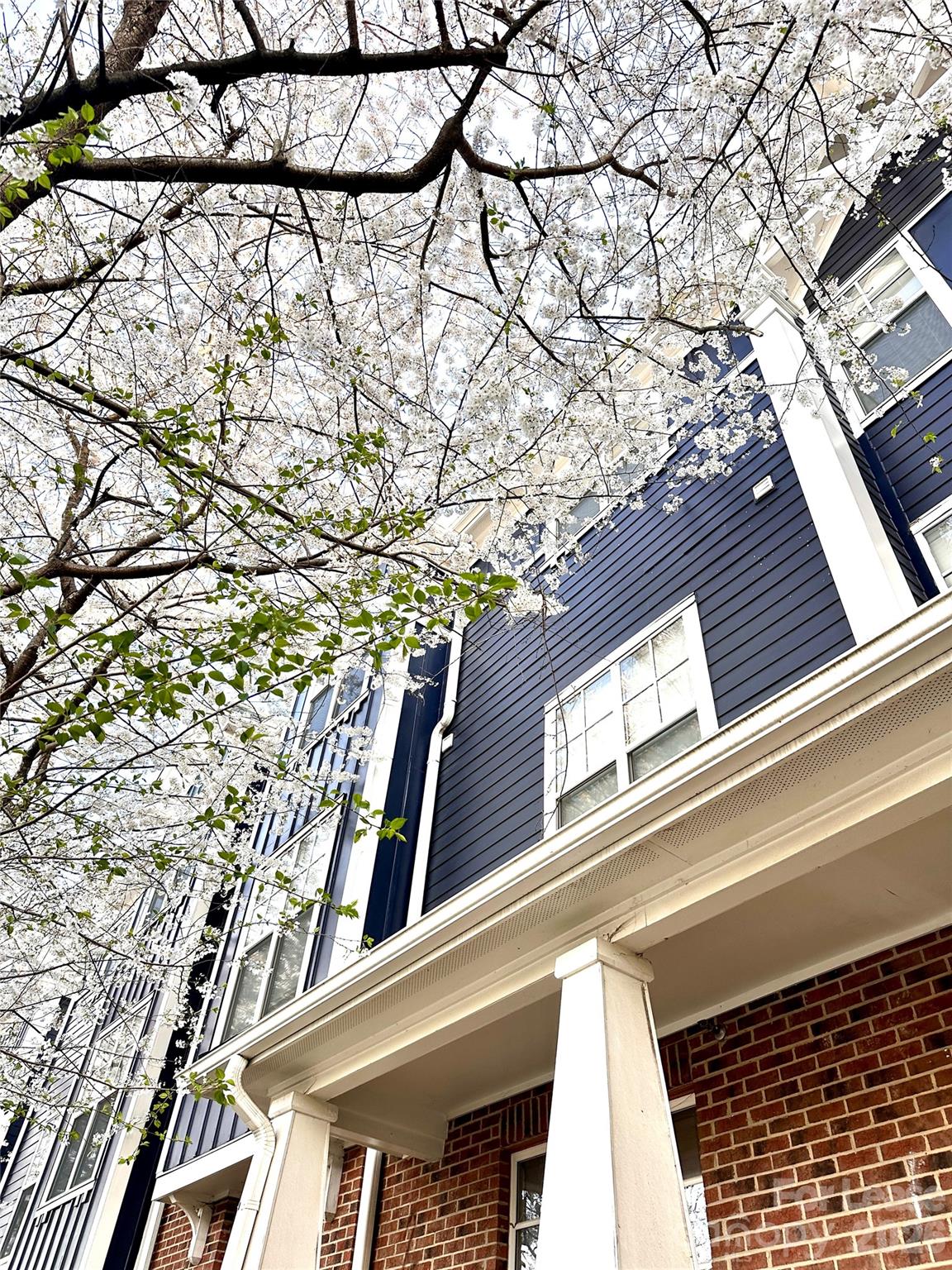 1600 Walnut View Drive