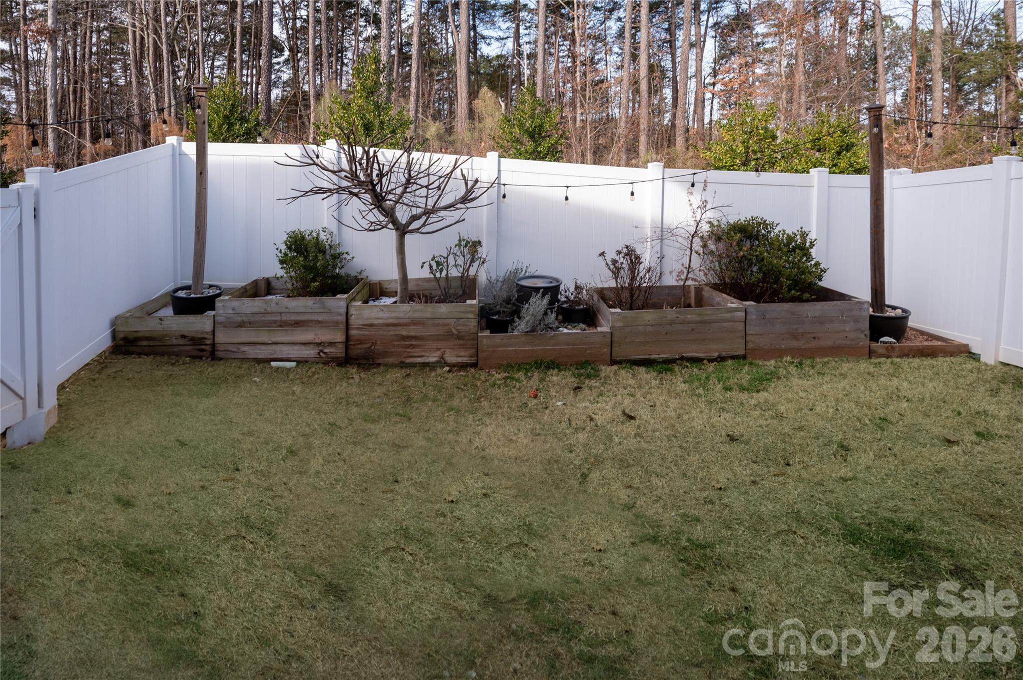3123 Glenn Hope Way